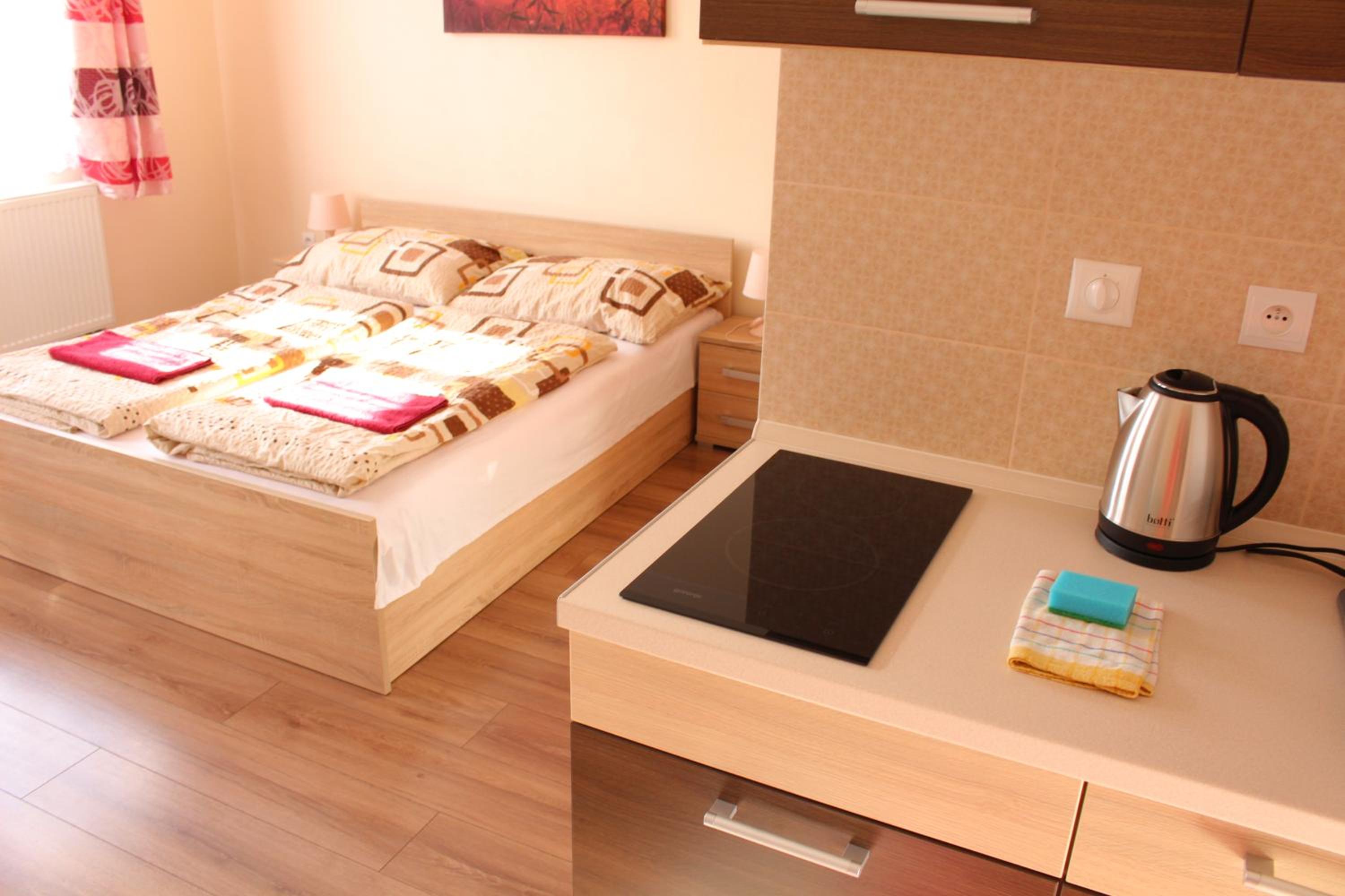 One-Bedroom Apartment with City View photo 3