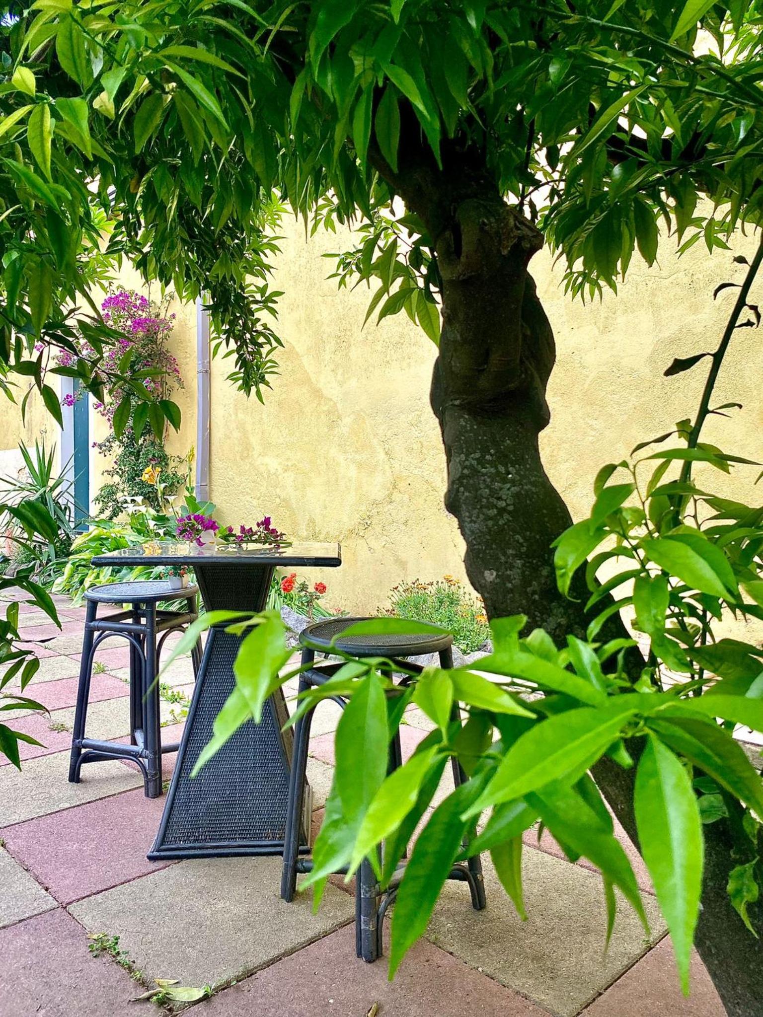 King Room with Garden View - Photo 6