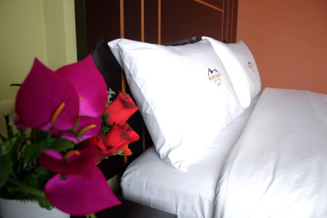 Deluxe Double Room (2 Adults + 1 Child) photo 1