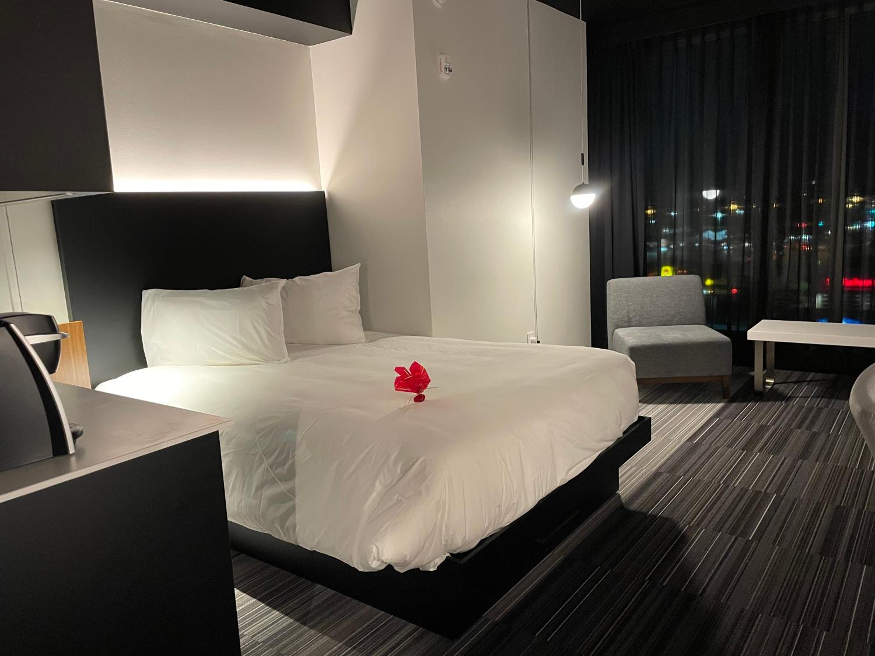 Superior King Suite - Photo 5