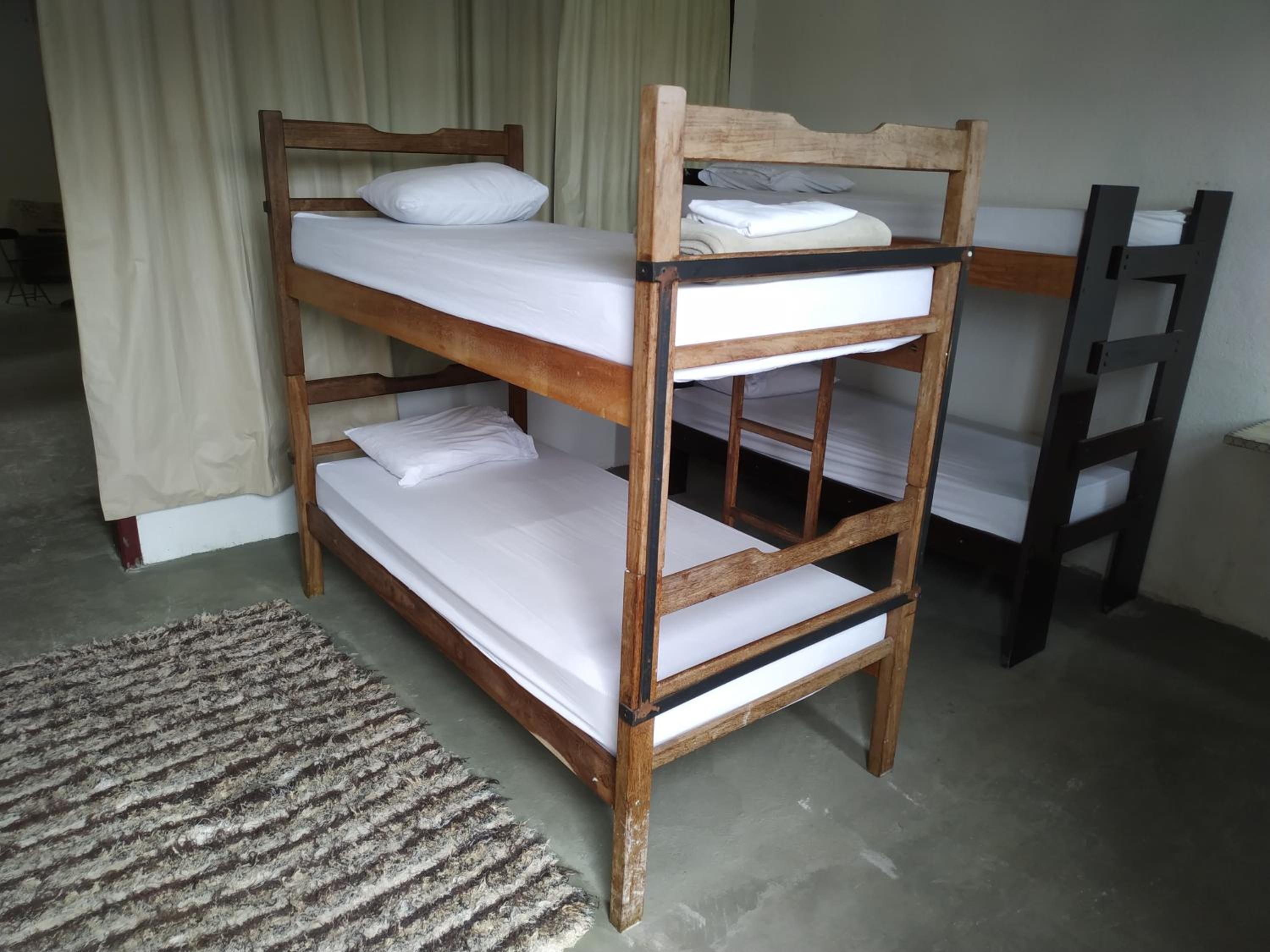 Bunk Bed in Mixed Dormitory Room photo 2