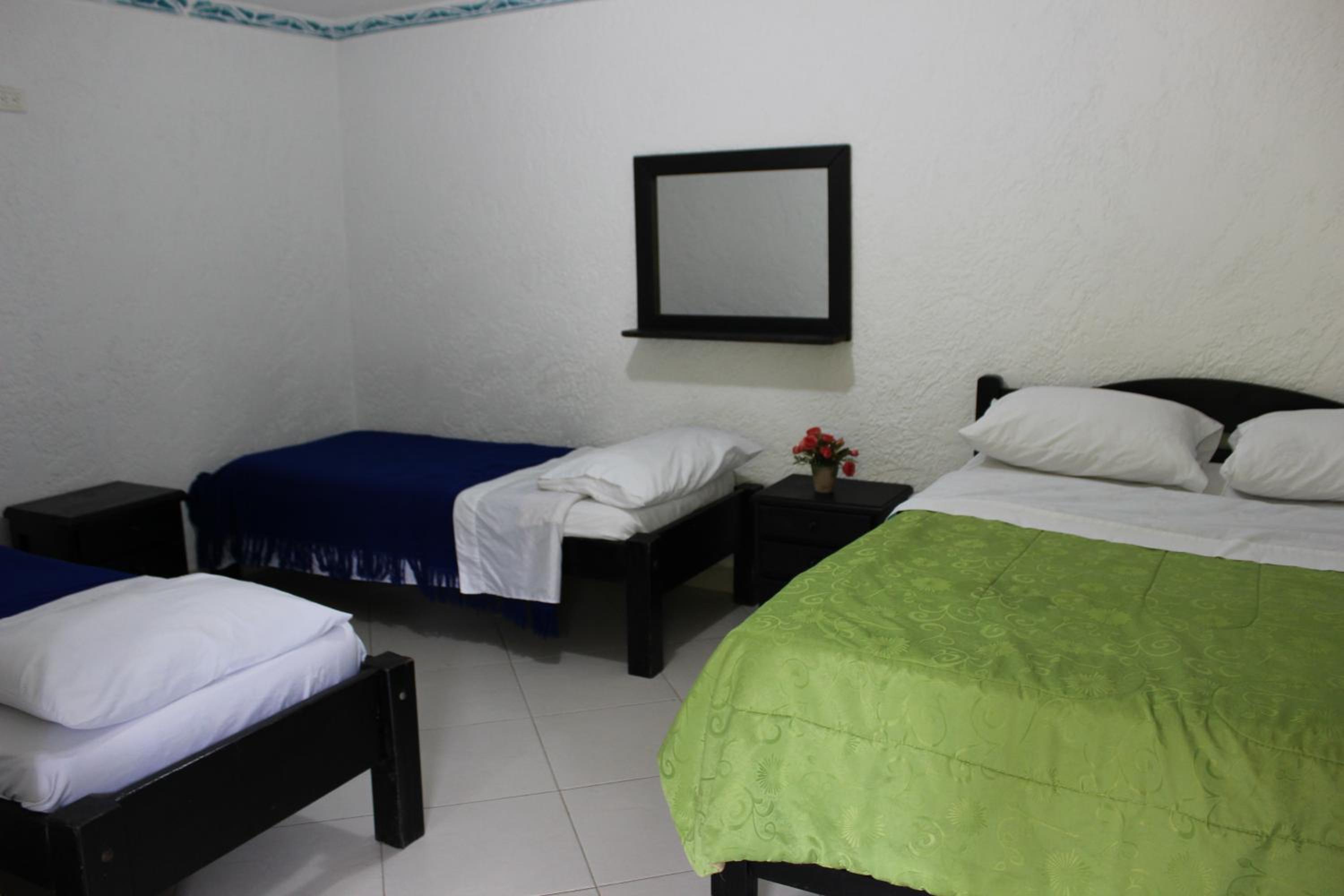 Twin Room photo 1