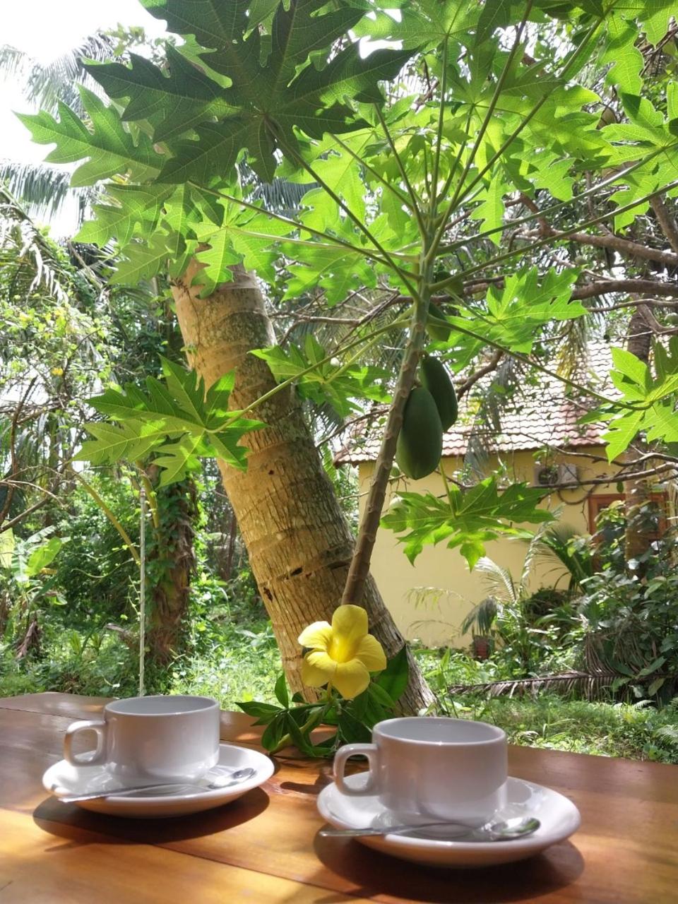 Standard Bungalow photo 2