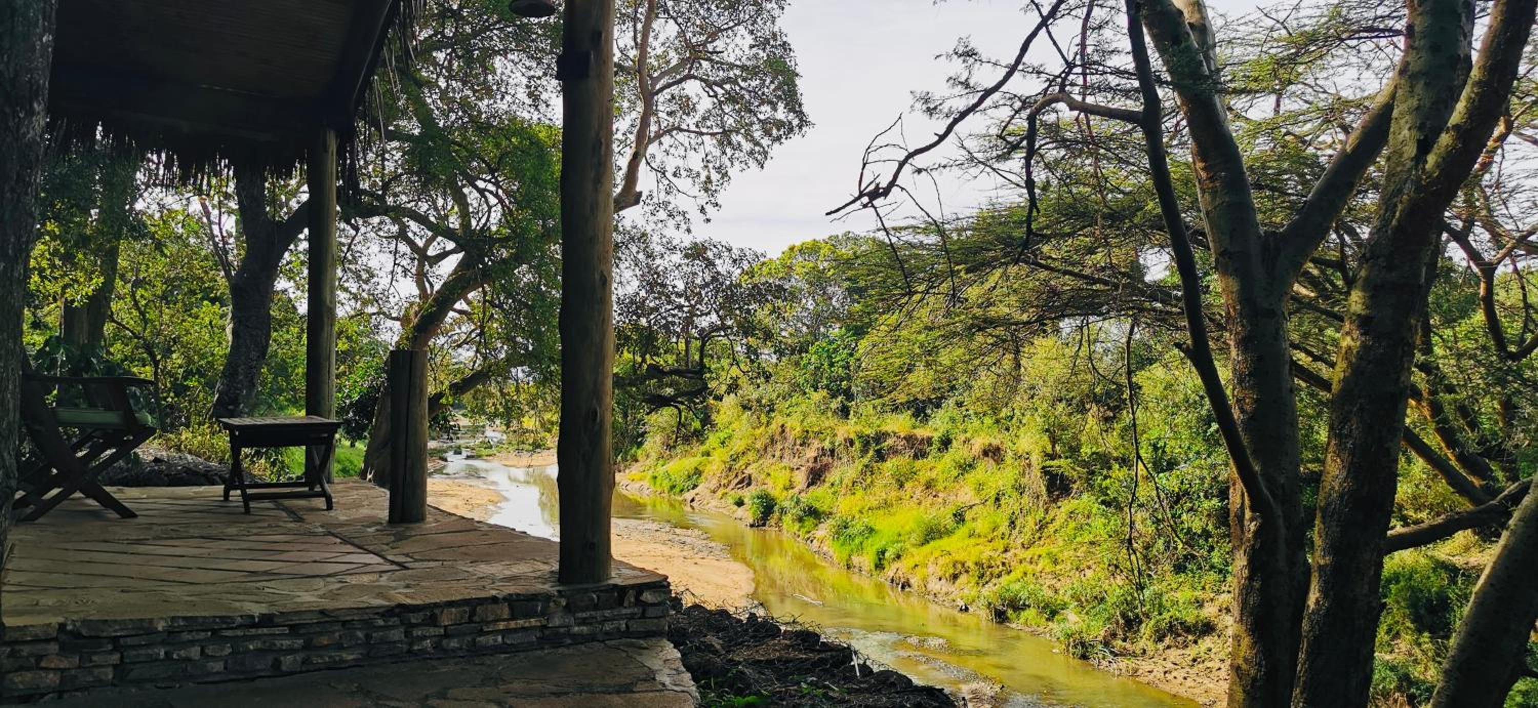 Luxury Tent River View - Photo 4