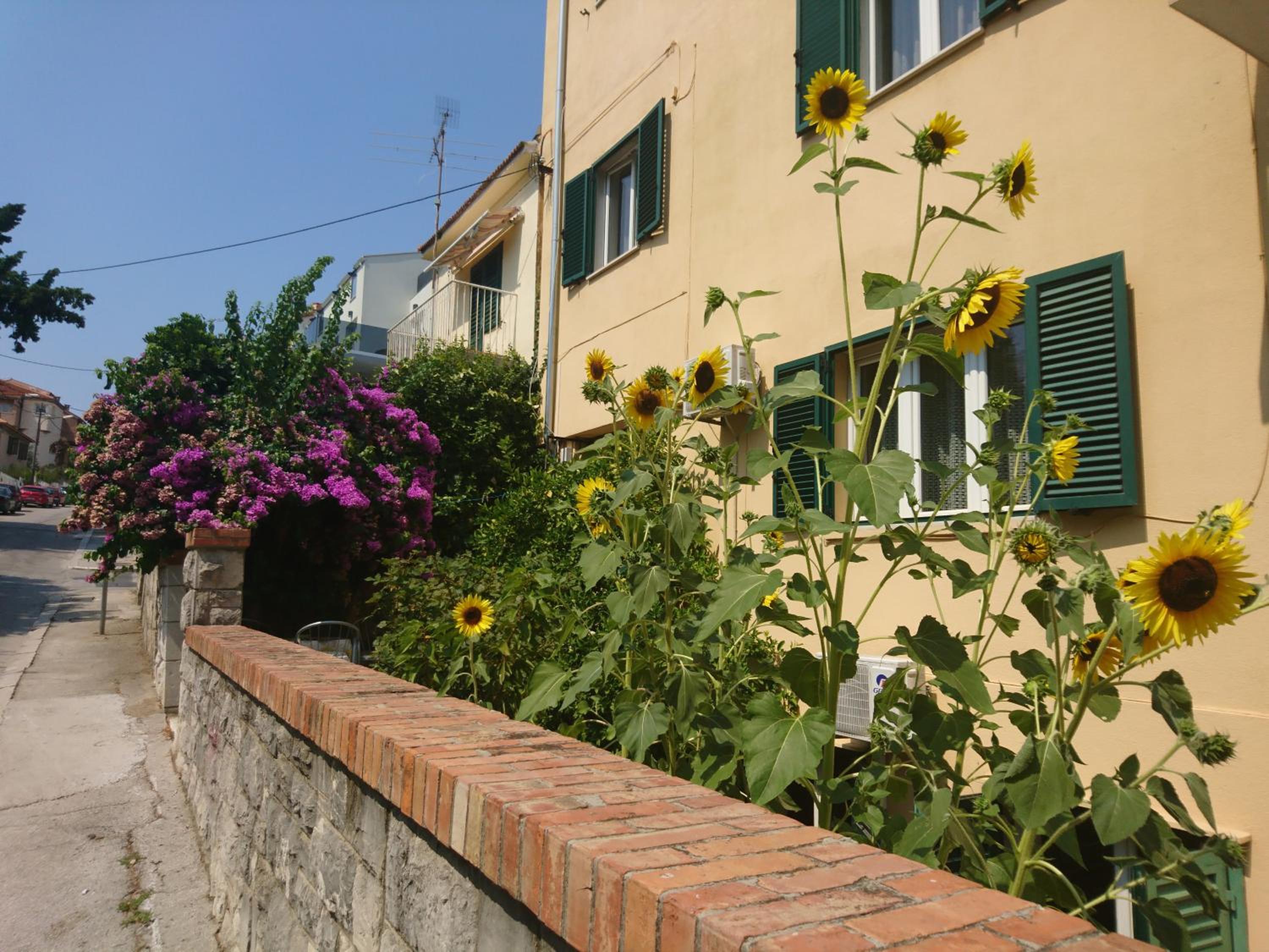 Apartment with Balcony photo 2
