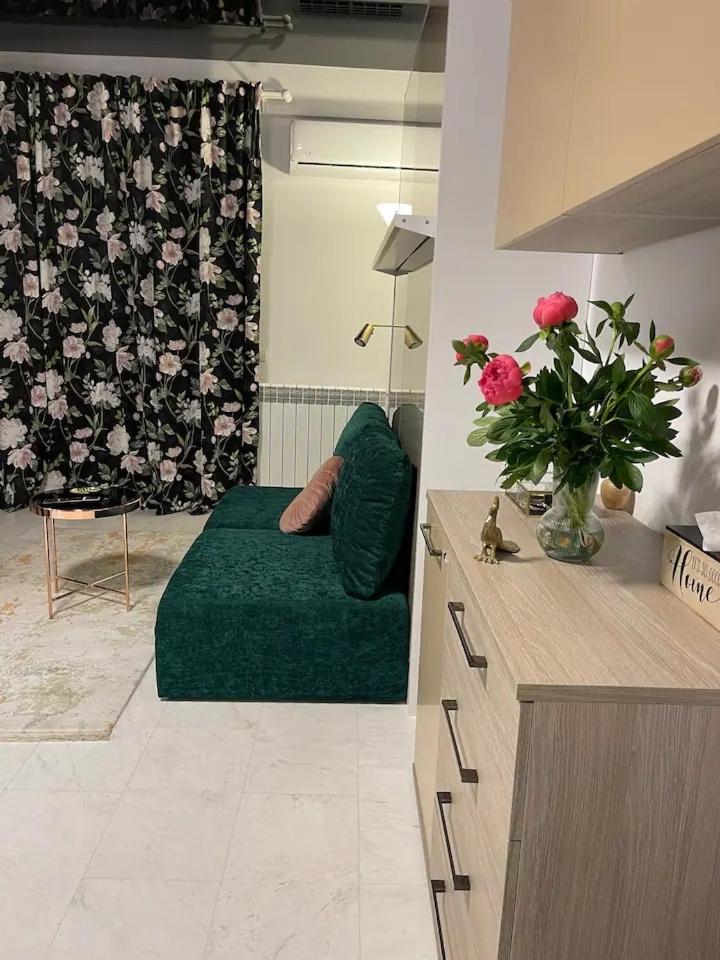 Studio Apartment photo 1