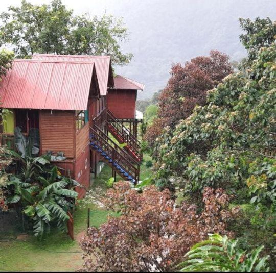 Bungalow with Garden View photo 3
