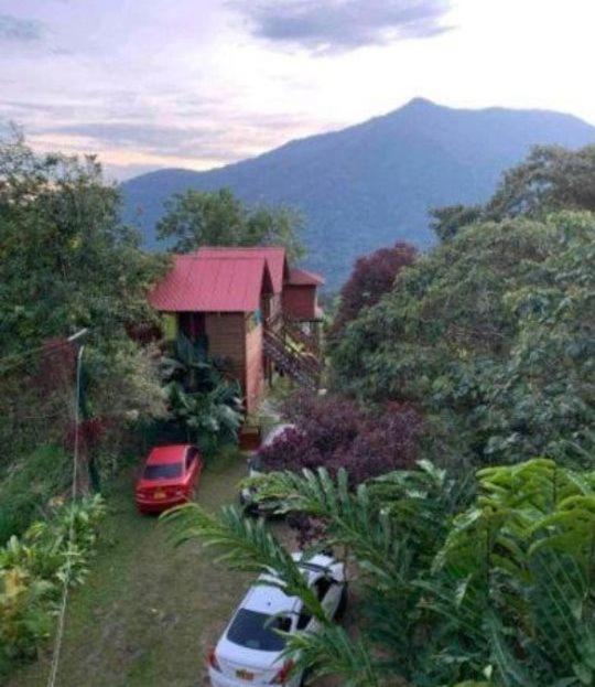 Bungalow with Garden View photo 2