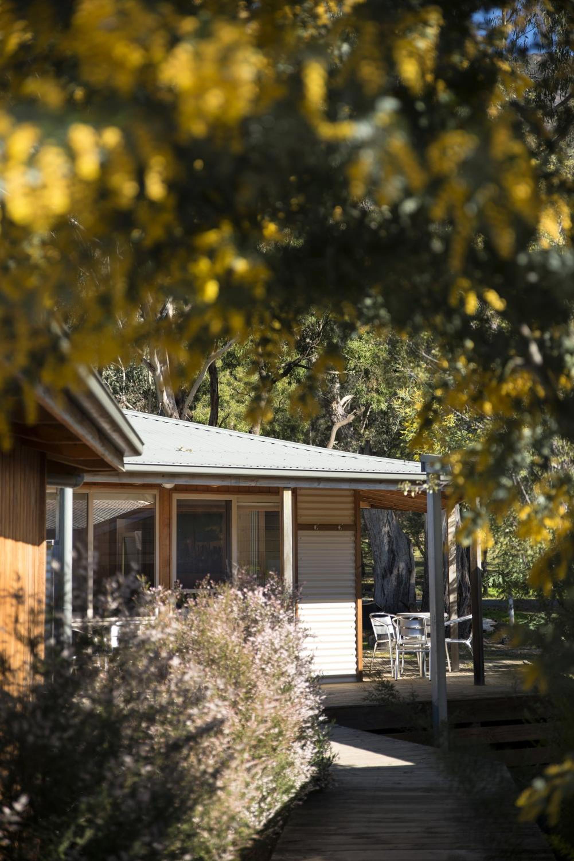 Standard Plus Chalet photo 3
