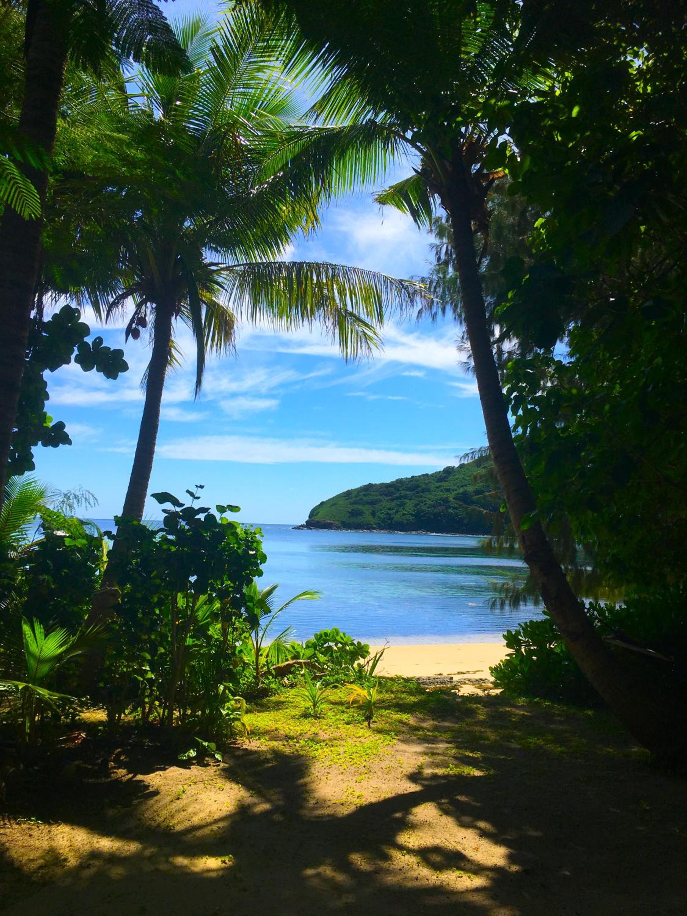 Beachfront Adi (Queen) Bure photo 5
