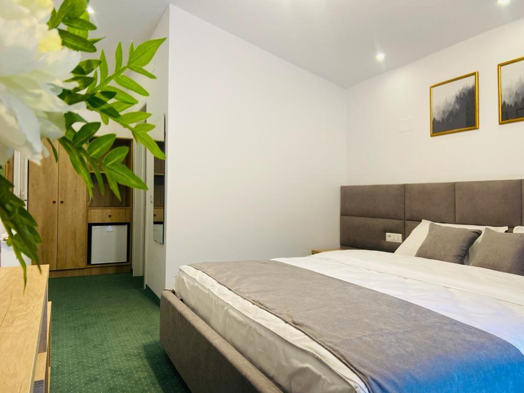 King Room photo 2