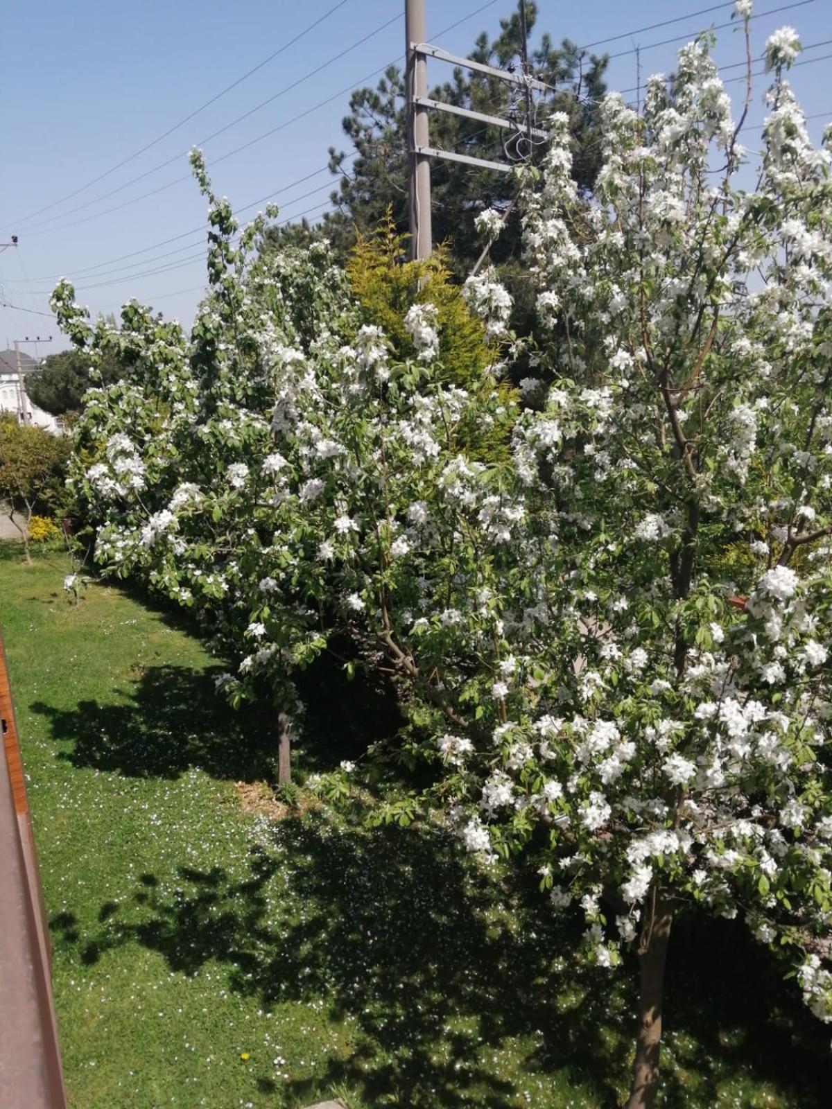 King Room with Garden View photo 3