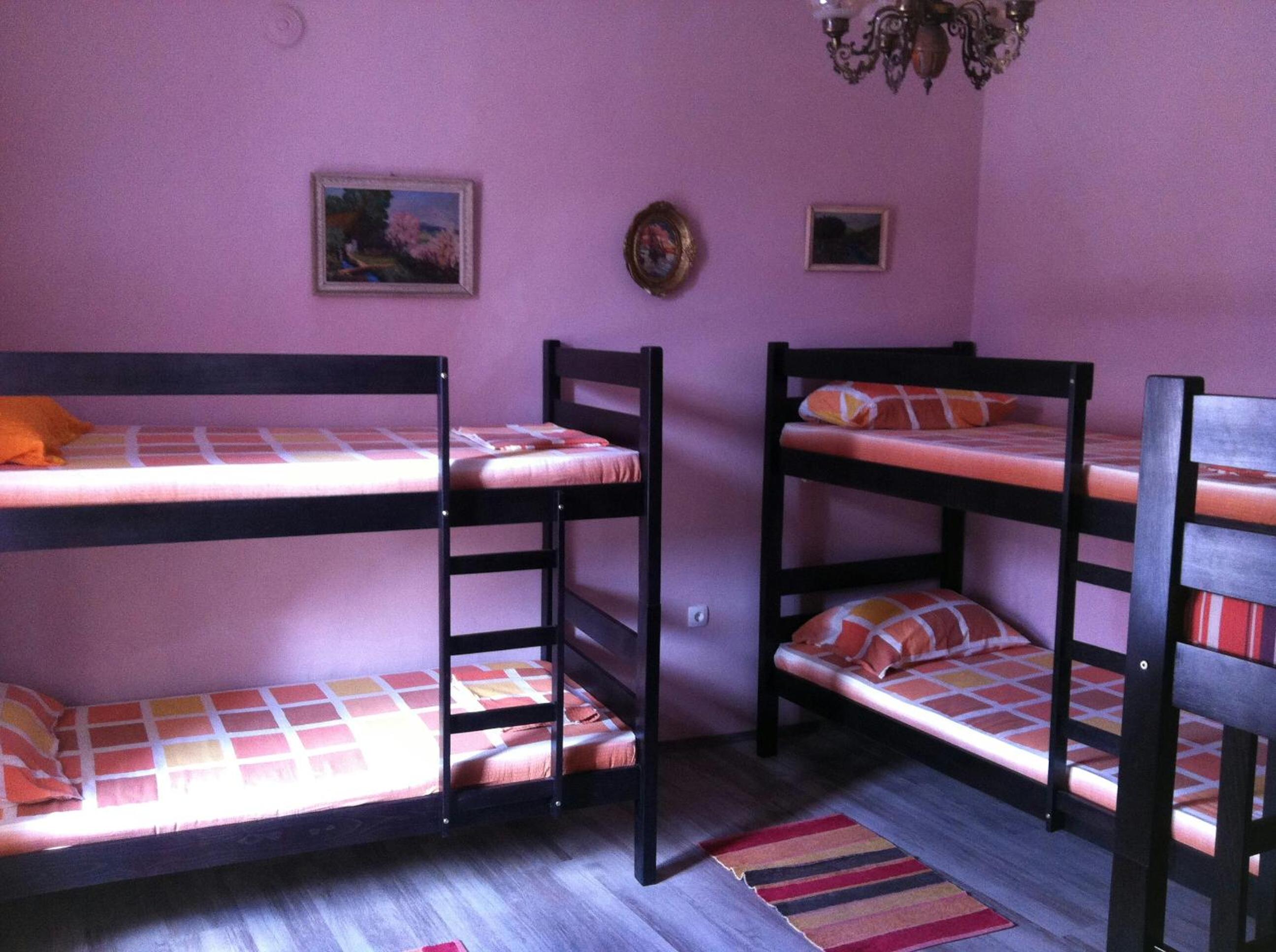 Bunk Bed in Mixed Dormitory Room photo 2