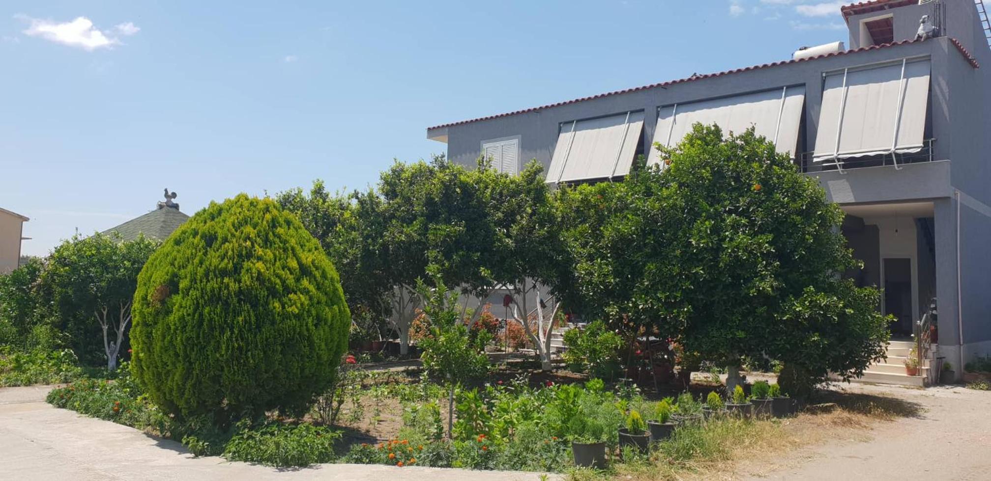 Triple Room with Garden View photo 2