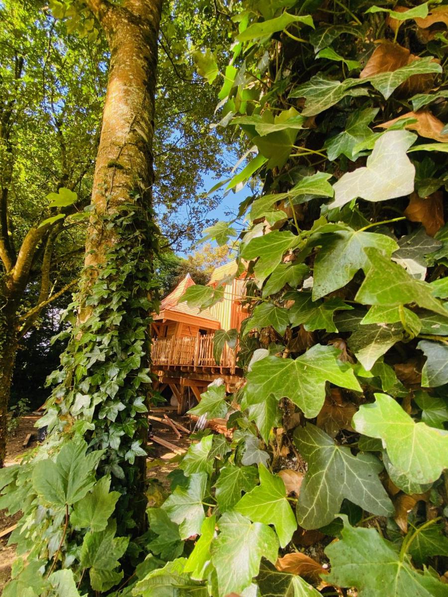 Deluxe Villa photo 2