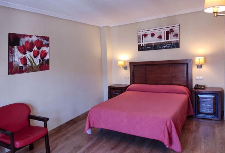Single Room photo 2