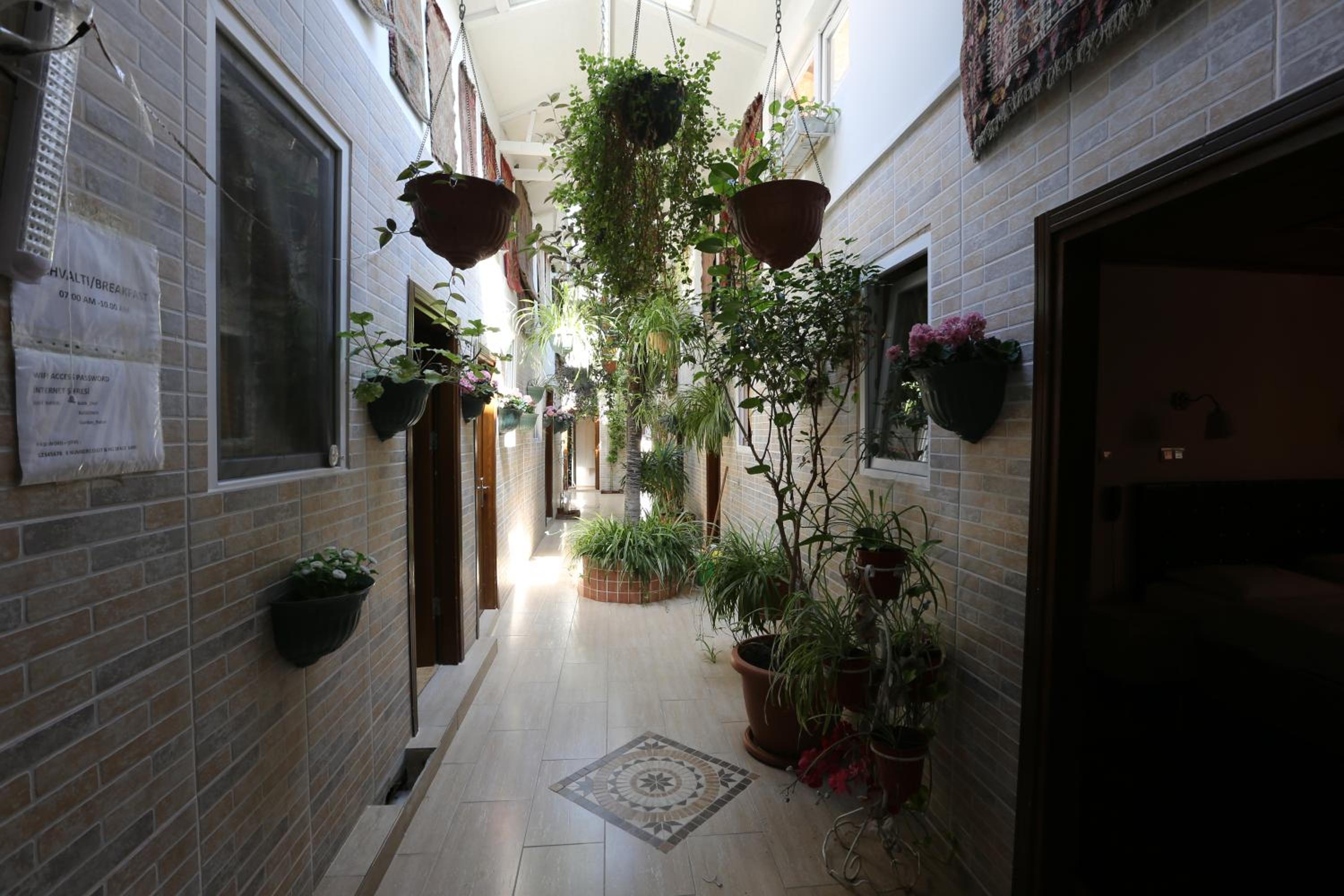 Budget Single Room photo 3