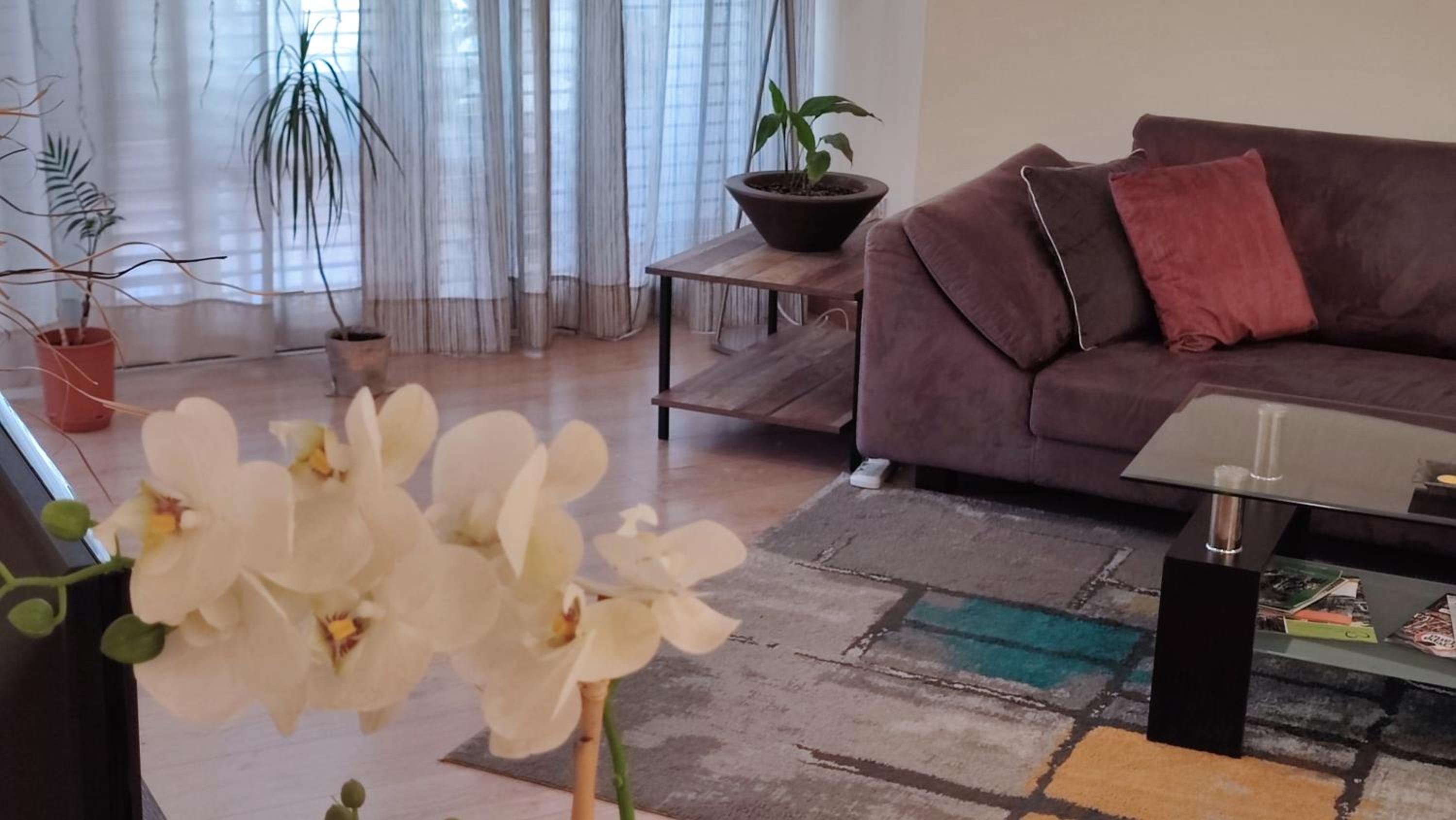 Apartment with Terrace photo 1