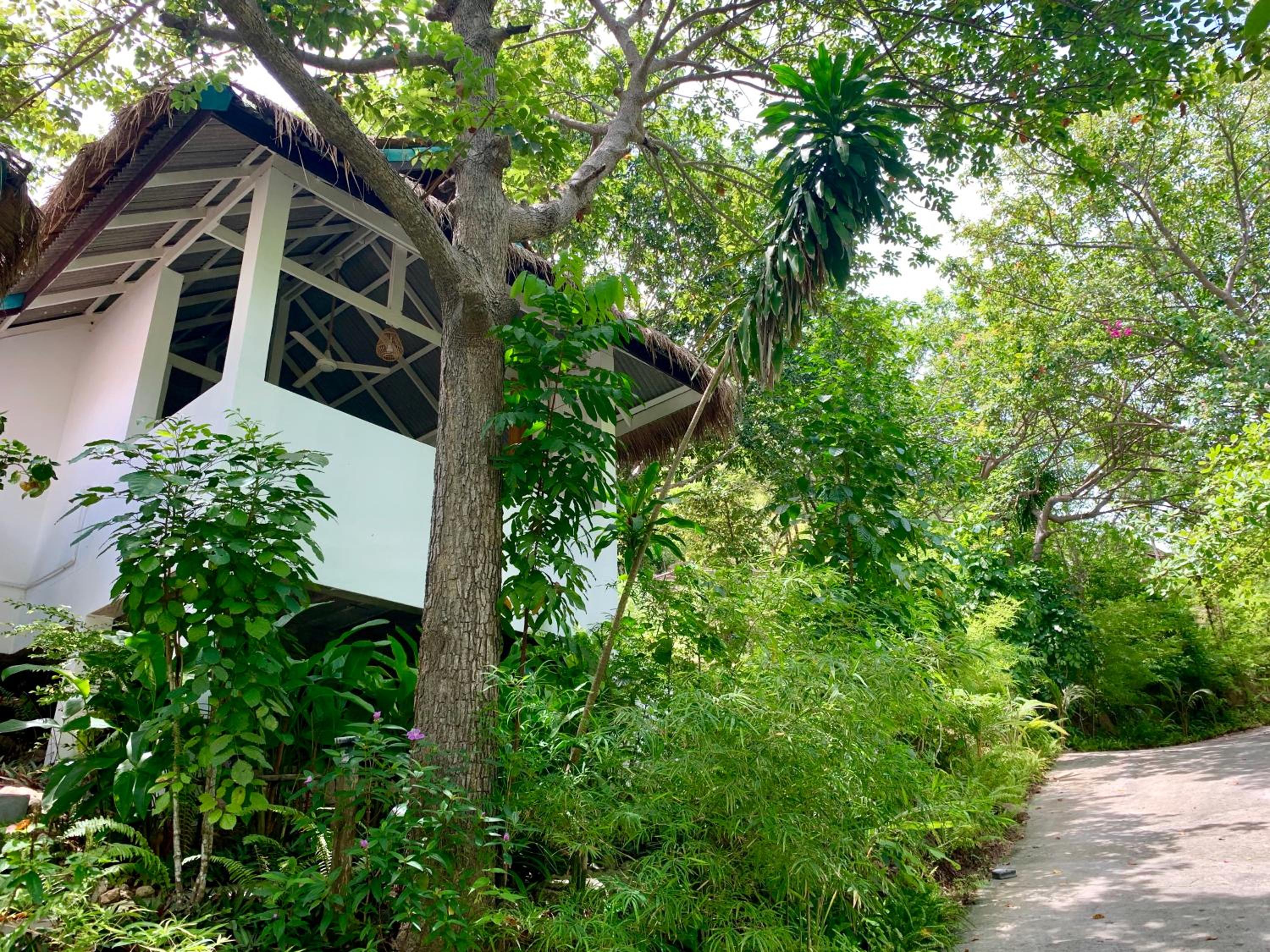 One-Bedroom Bungalow