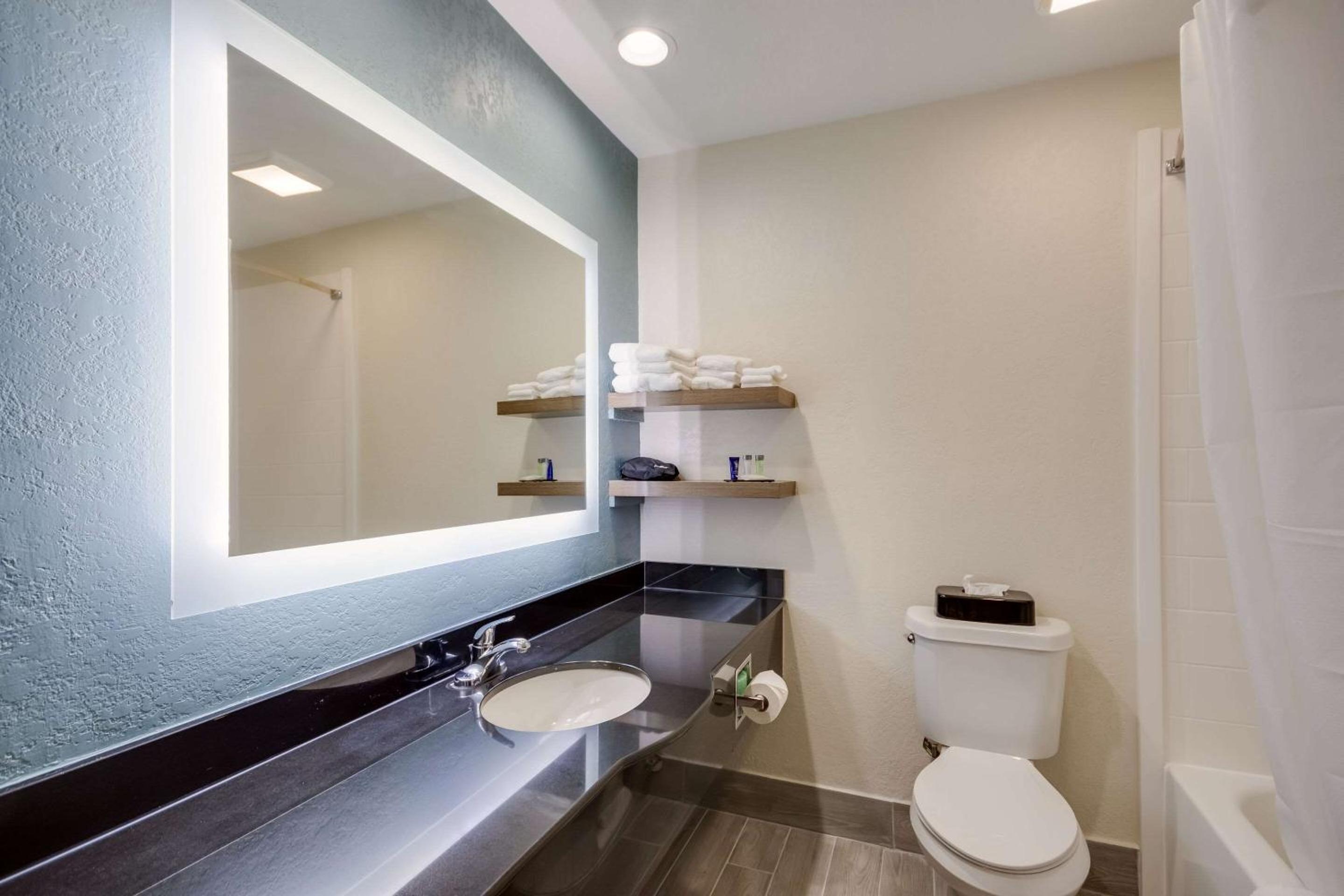 King Suite - Mobility Accessible with Bathtub and Sofabed - Photo 1