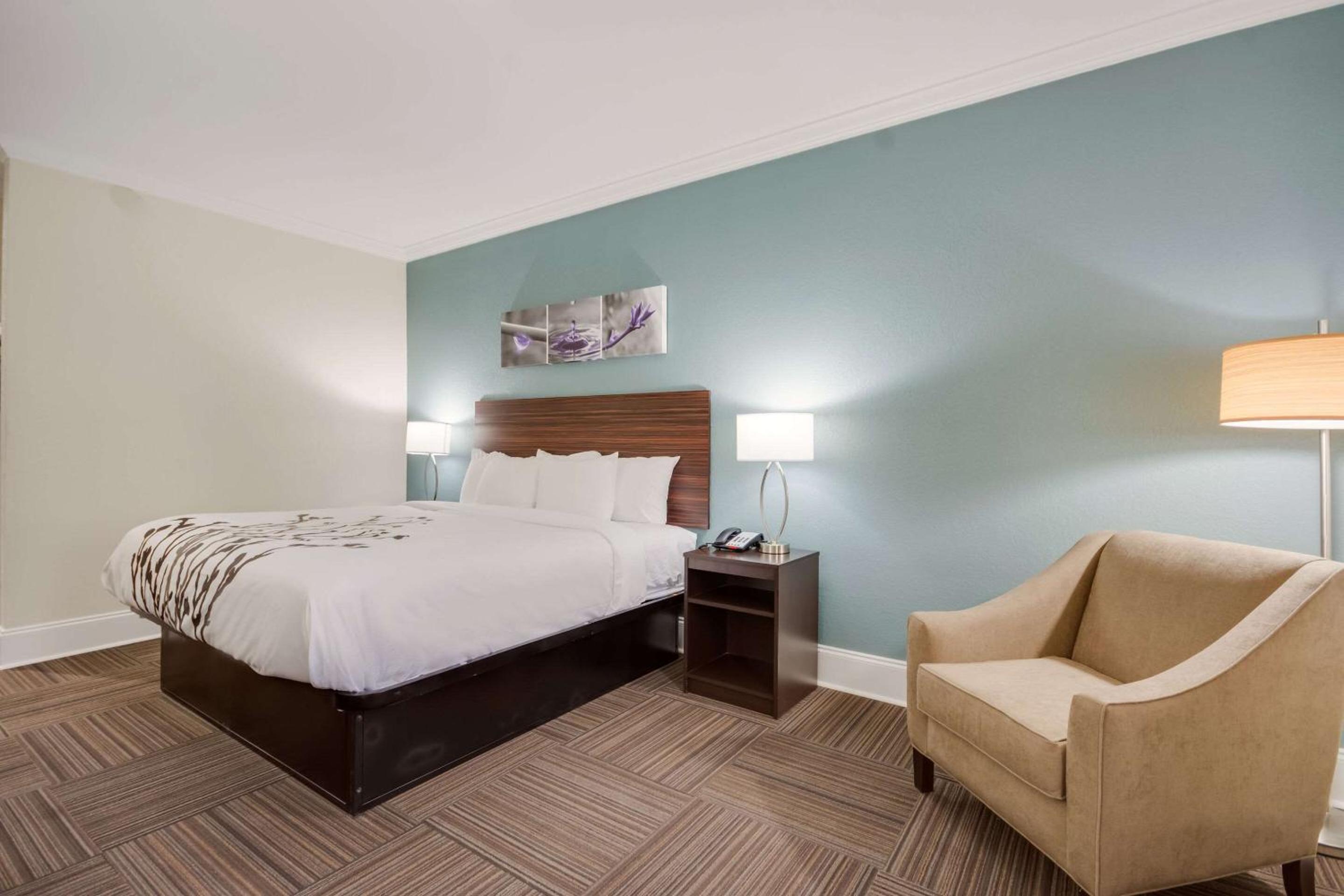 King Room - Accessible/Non Smoking - Photo 1