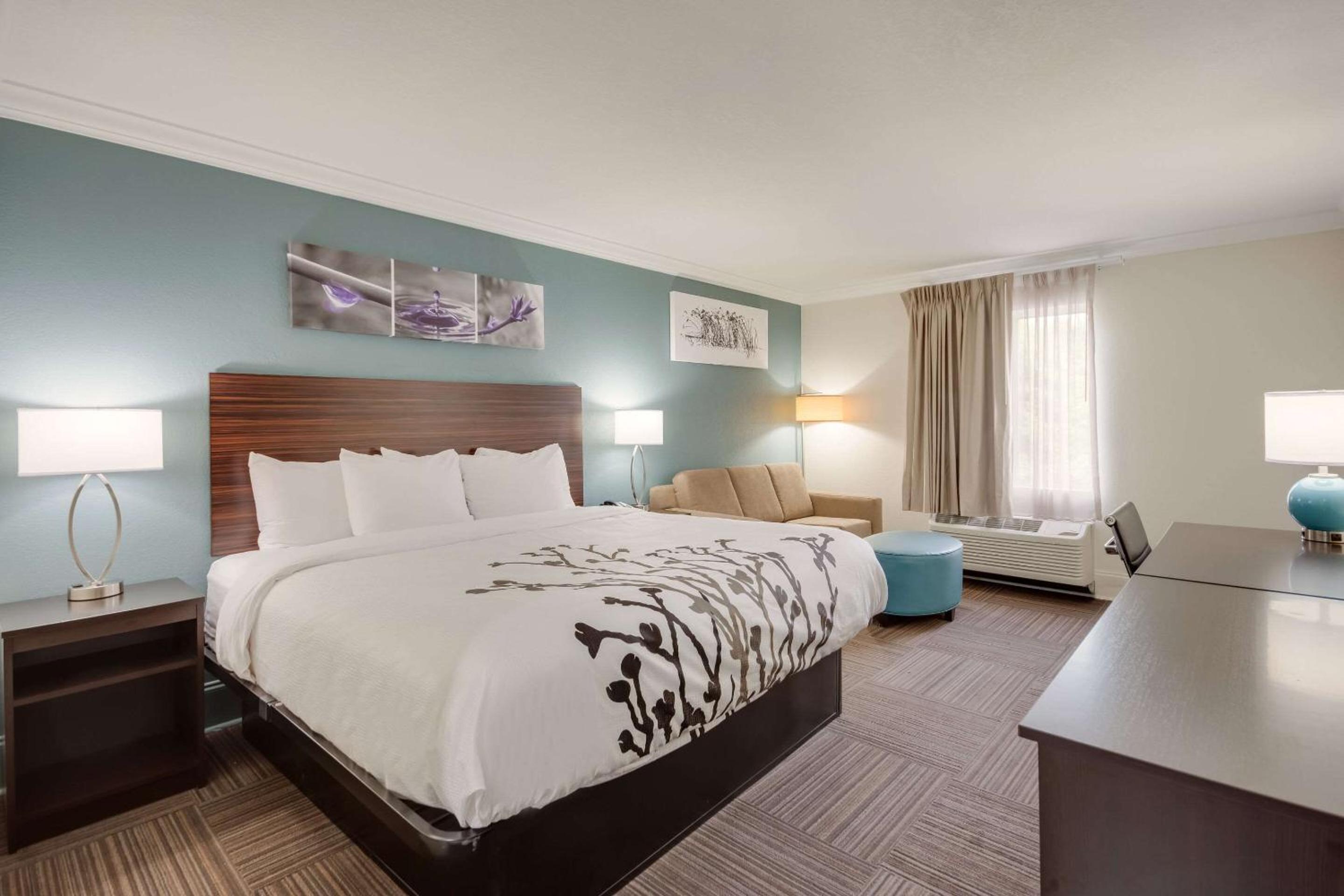 King Suite - Mobility Accessible with Bathtub and Sofabed - Photo 2