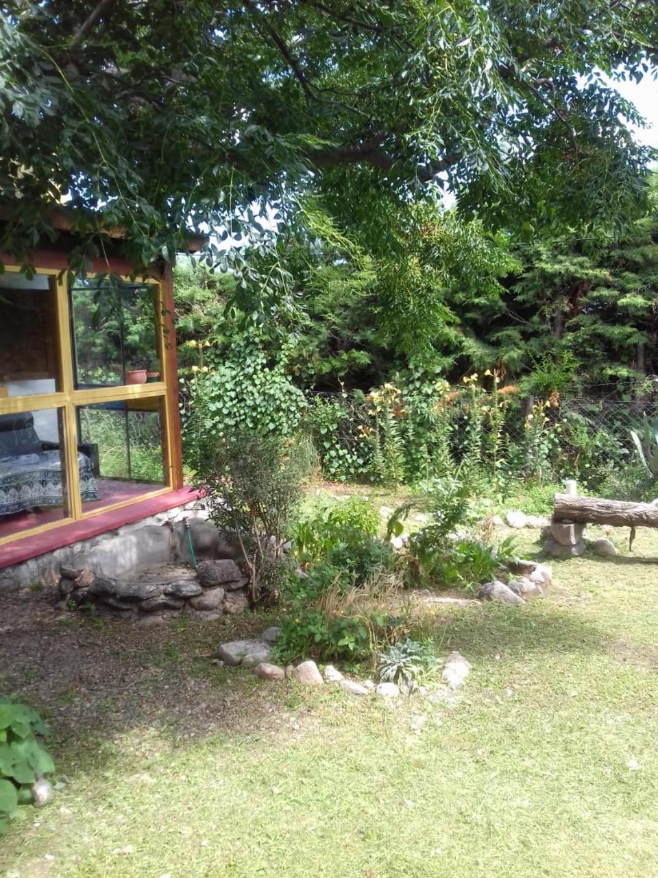 Family Bungalow photo 3