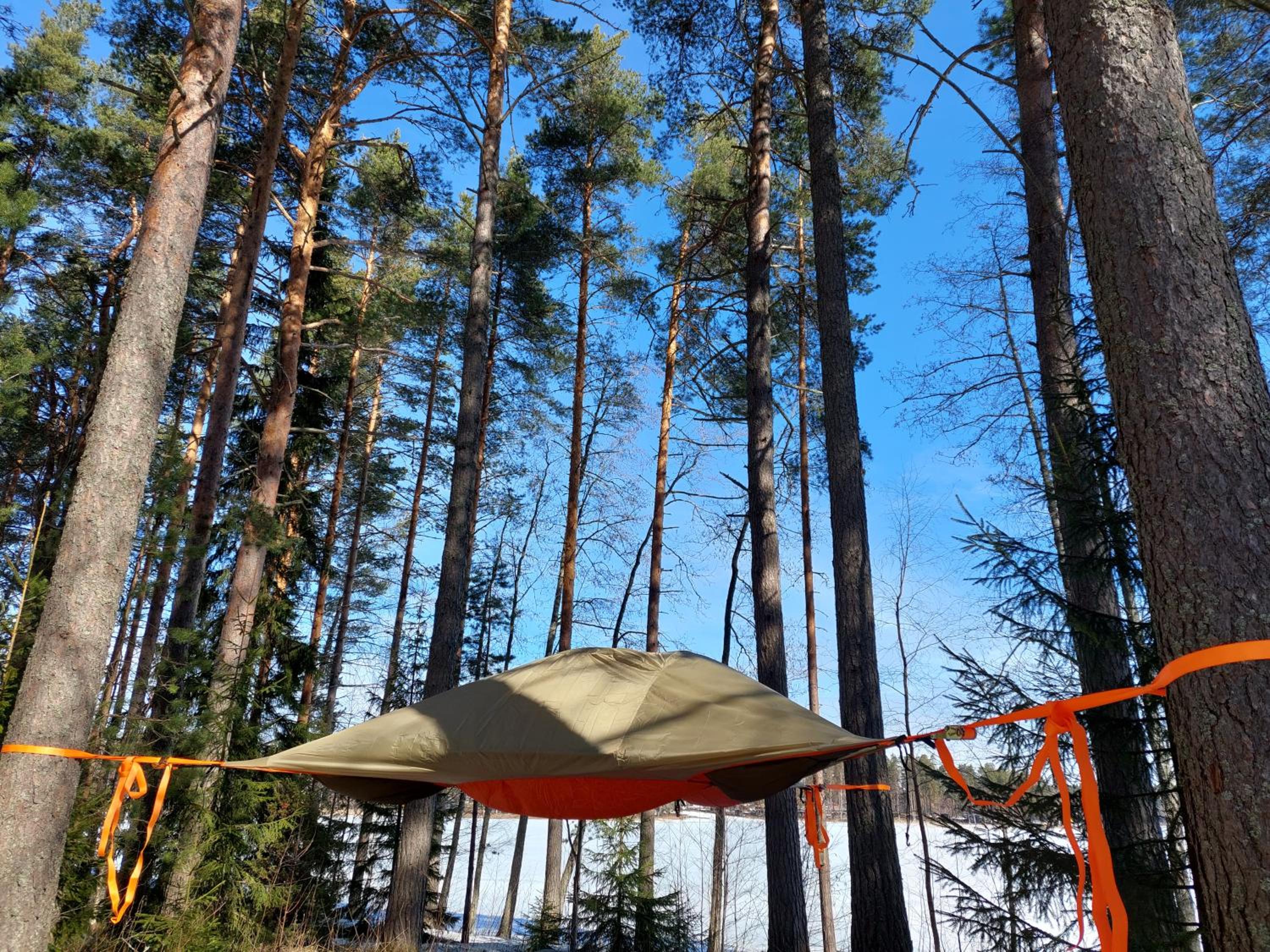 Tree Tent (tentsile) - Photo 4