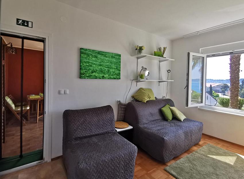 Apartment with Sea View photo 1