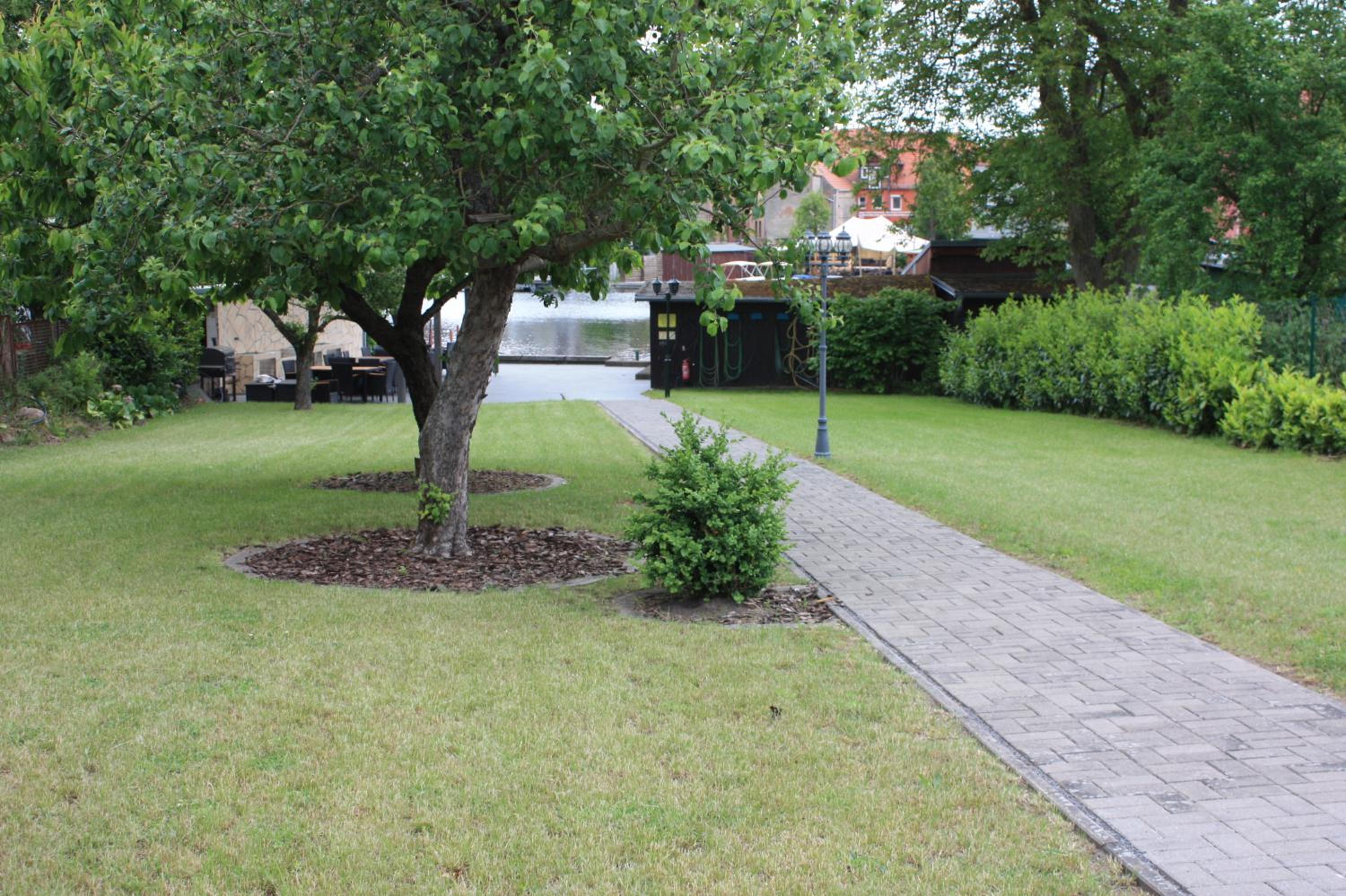 One-Bedroom Premium Apartment photo 2