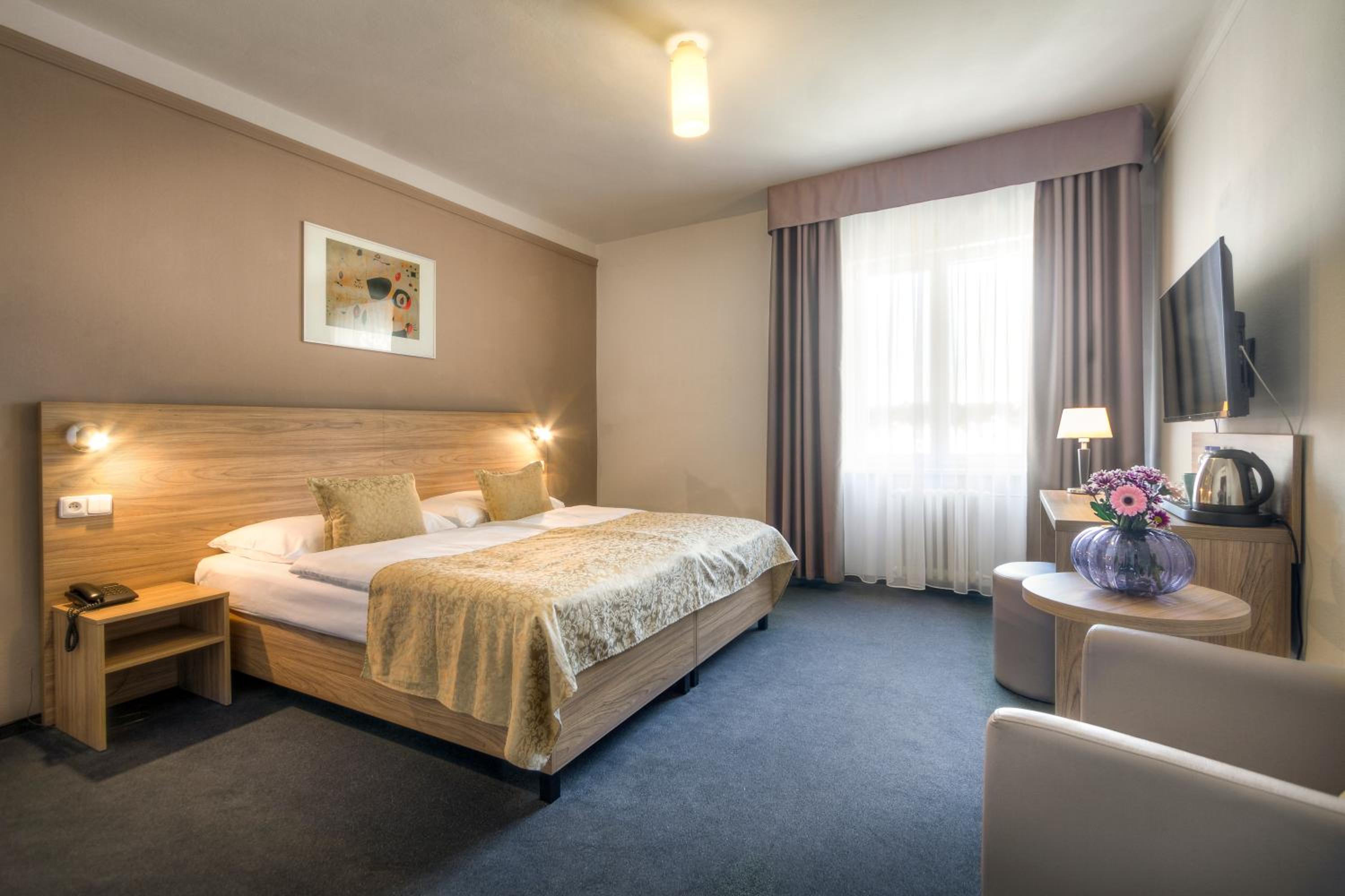 Superior Double or Twin Room with Air Conditioning