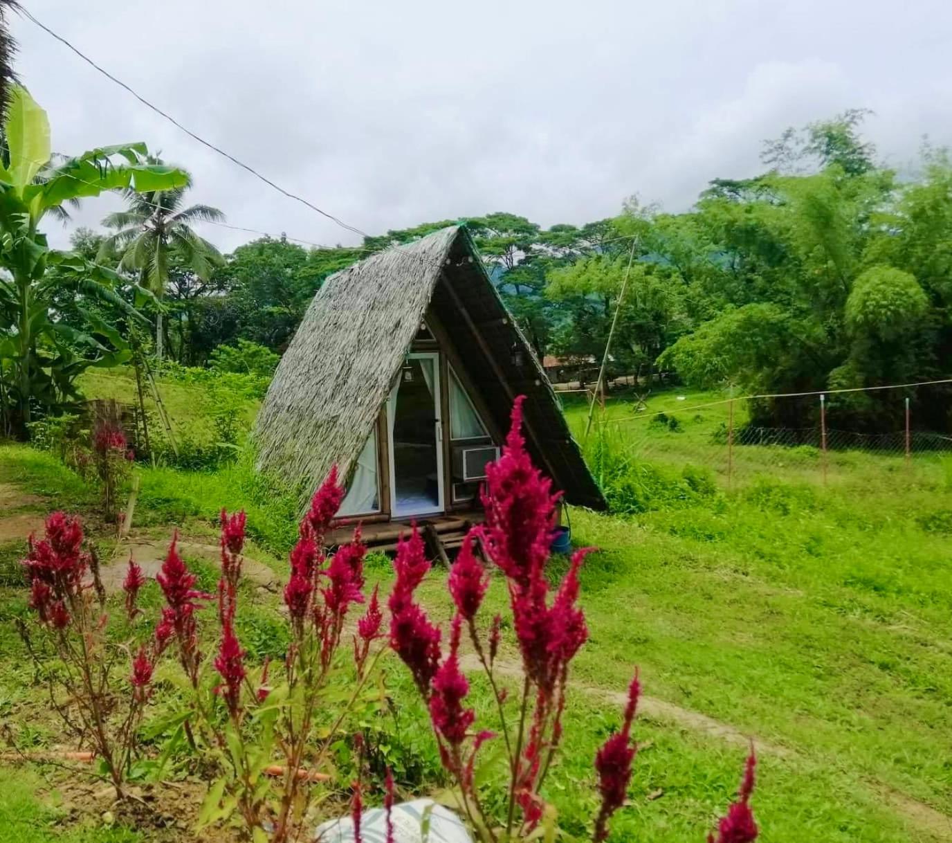 Bungalow with Garden View - Photo 38