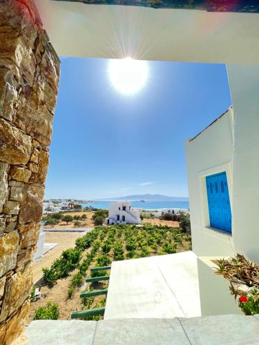 Studio with Sea View photo 2