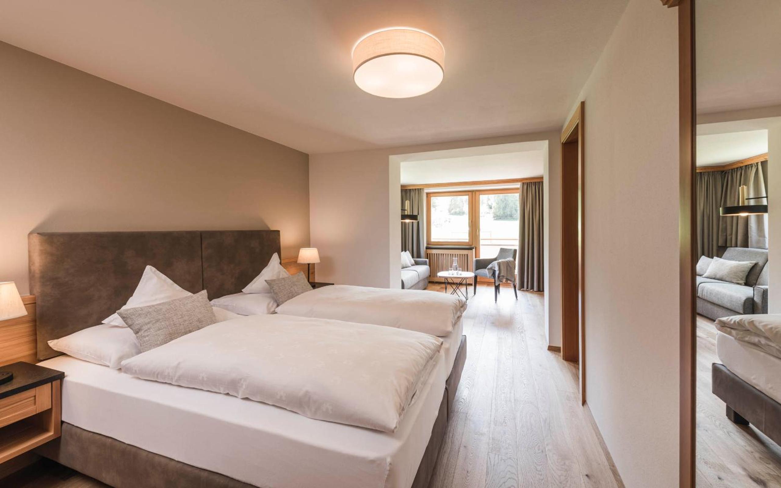 Double Room with Mountain View photo 1