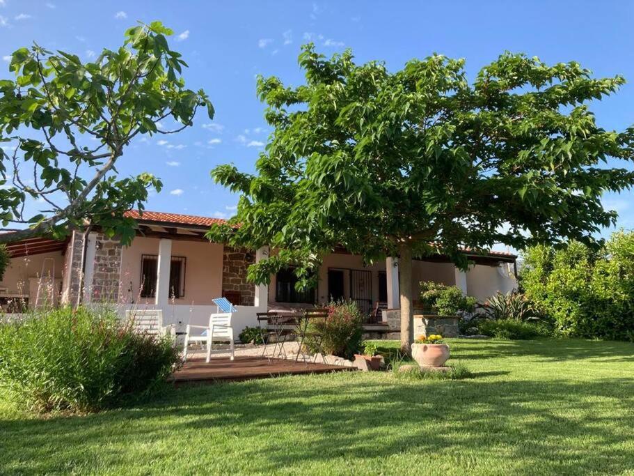Two-Bedroom Villa photo 2