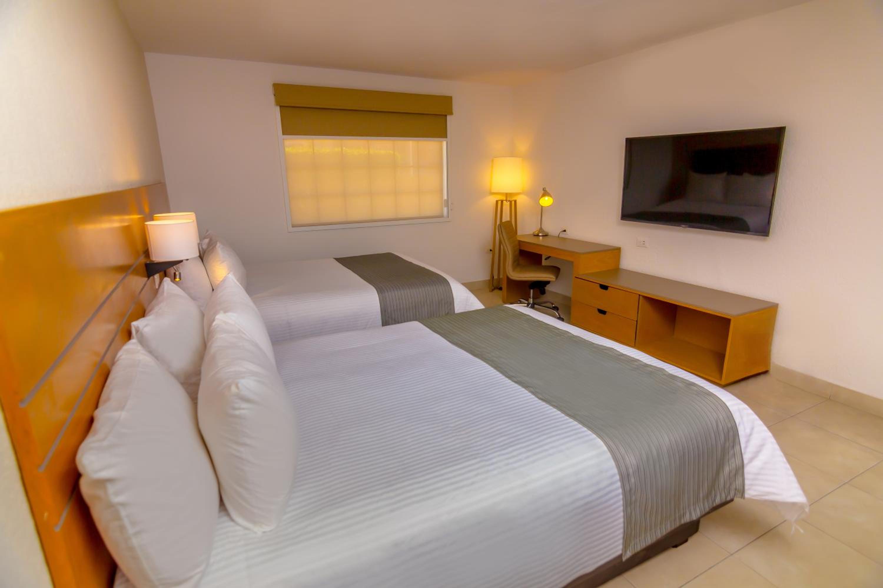 Executive Room, 2 Double photo 1