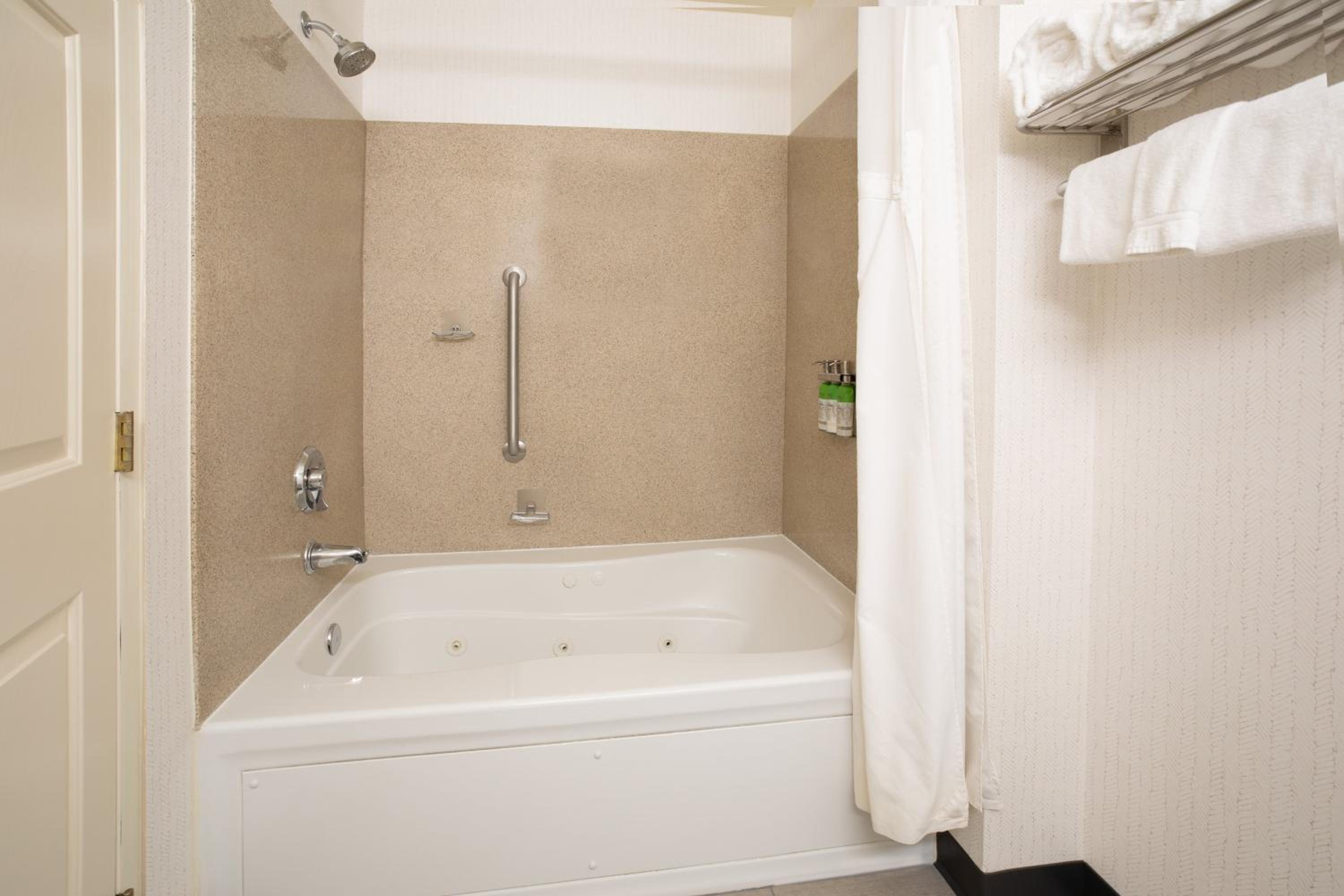 One-Bedroom Suite - Photo 2