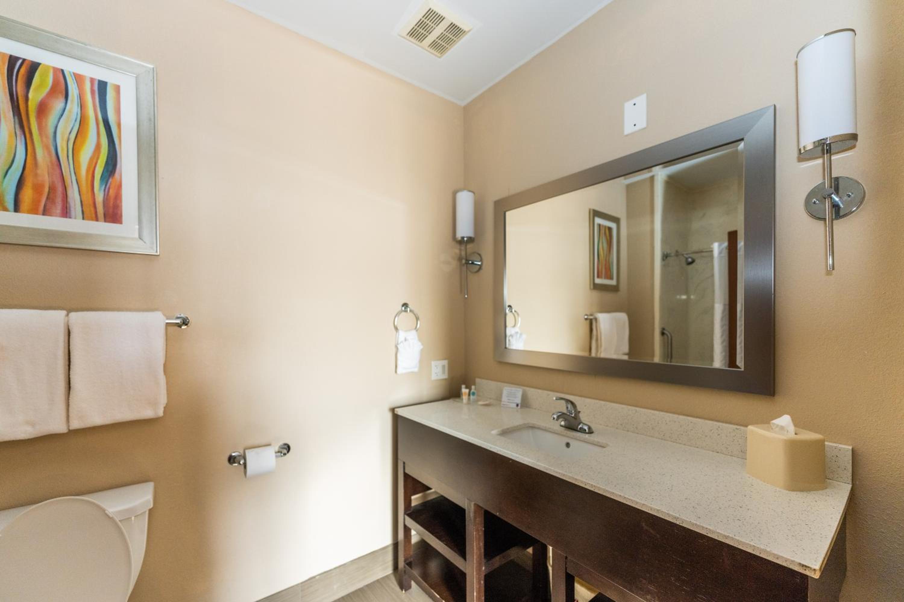 King Suite - Non-Smoking - Photo 30
