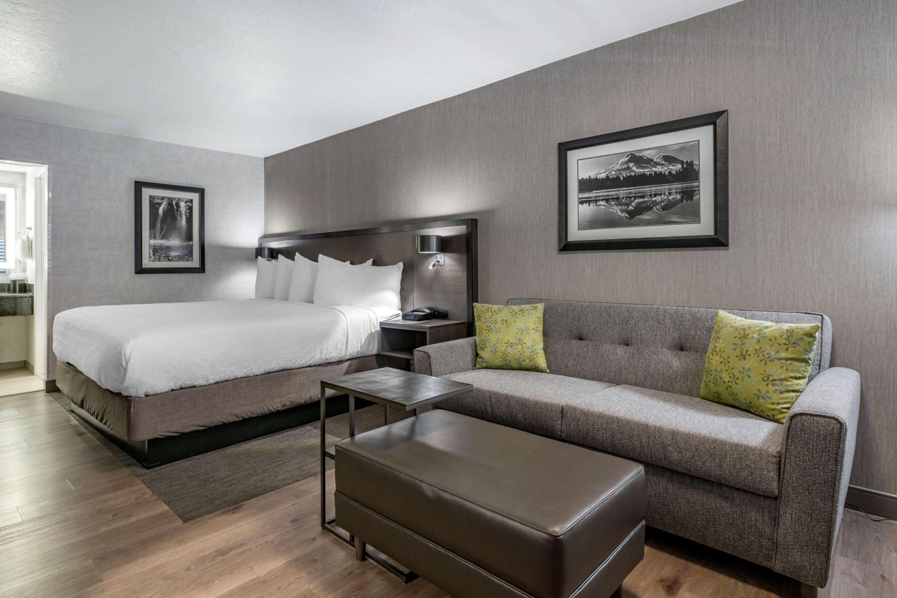 King Room with Sofa Bed - Pet-Friendly/Non-Smoking - Photo 2