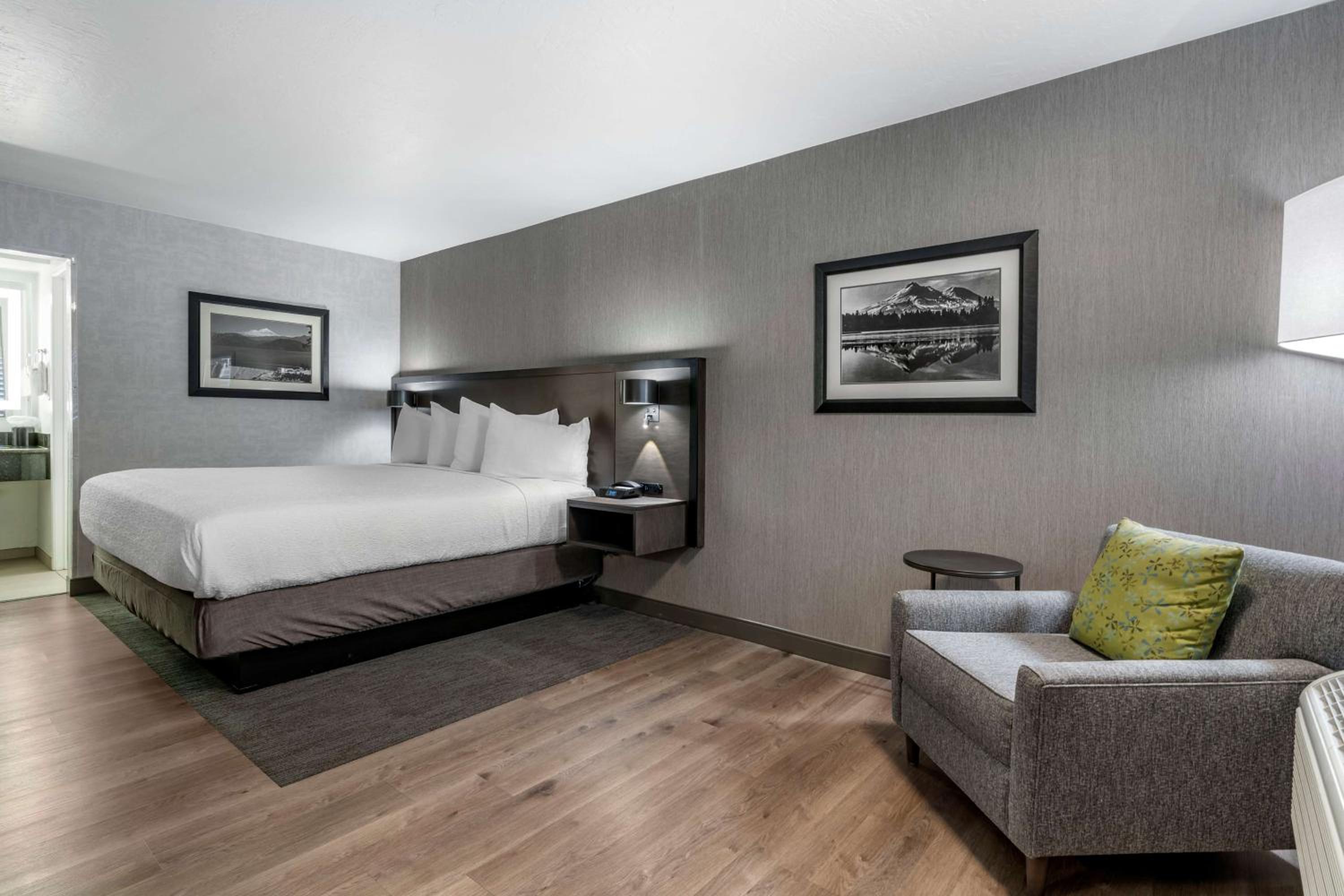 King Room with Sofa Bed - Pet Friendly/Non-Smoking - Photo 4