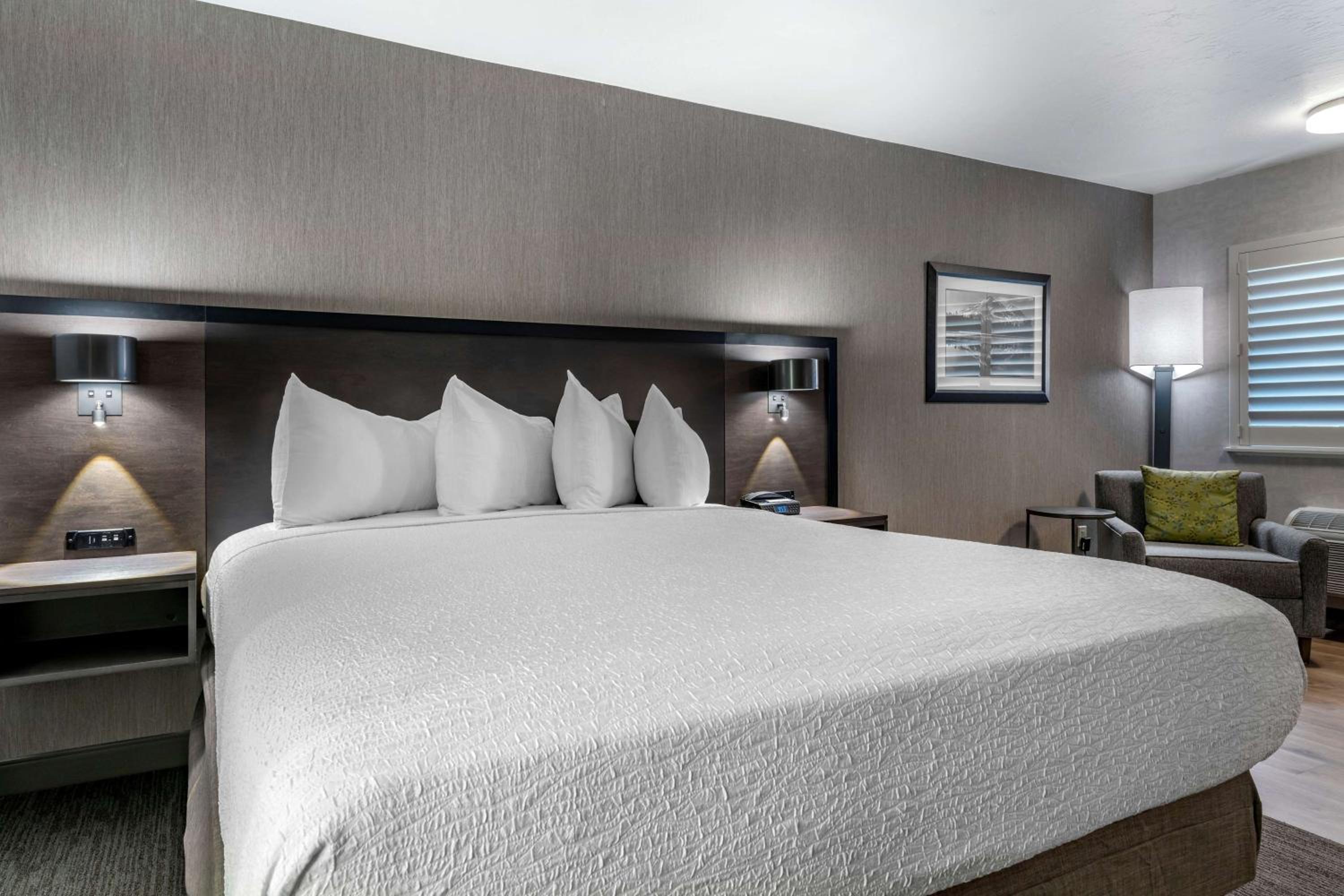 King Room with Sofa Bed - Pet Friendly/Non-Smoking - Photo 2