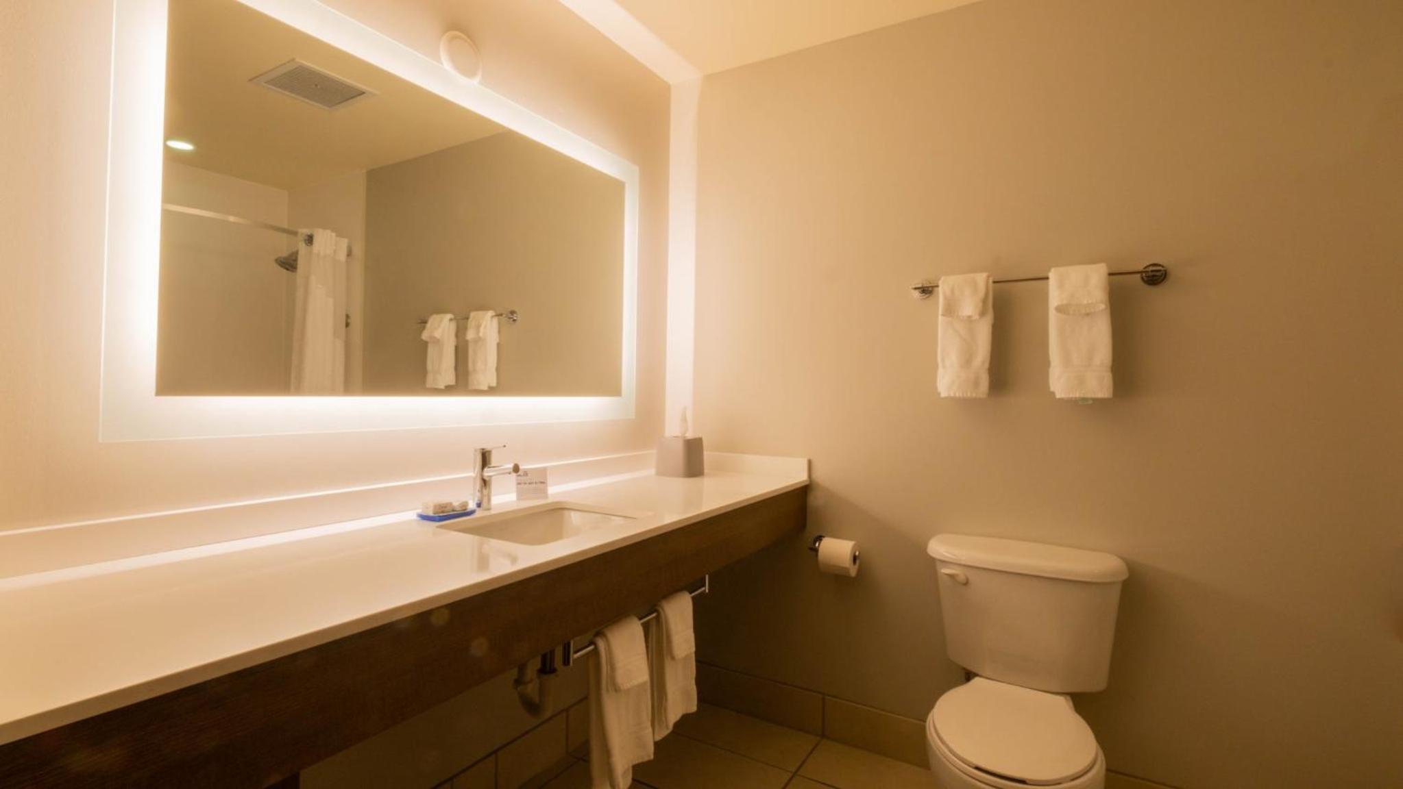 One-Bedroom Suite - Photo 4