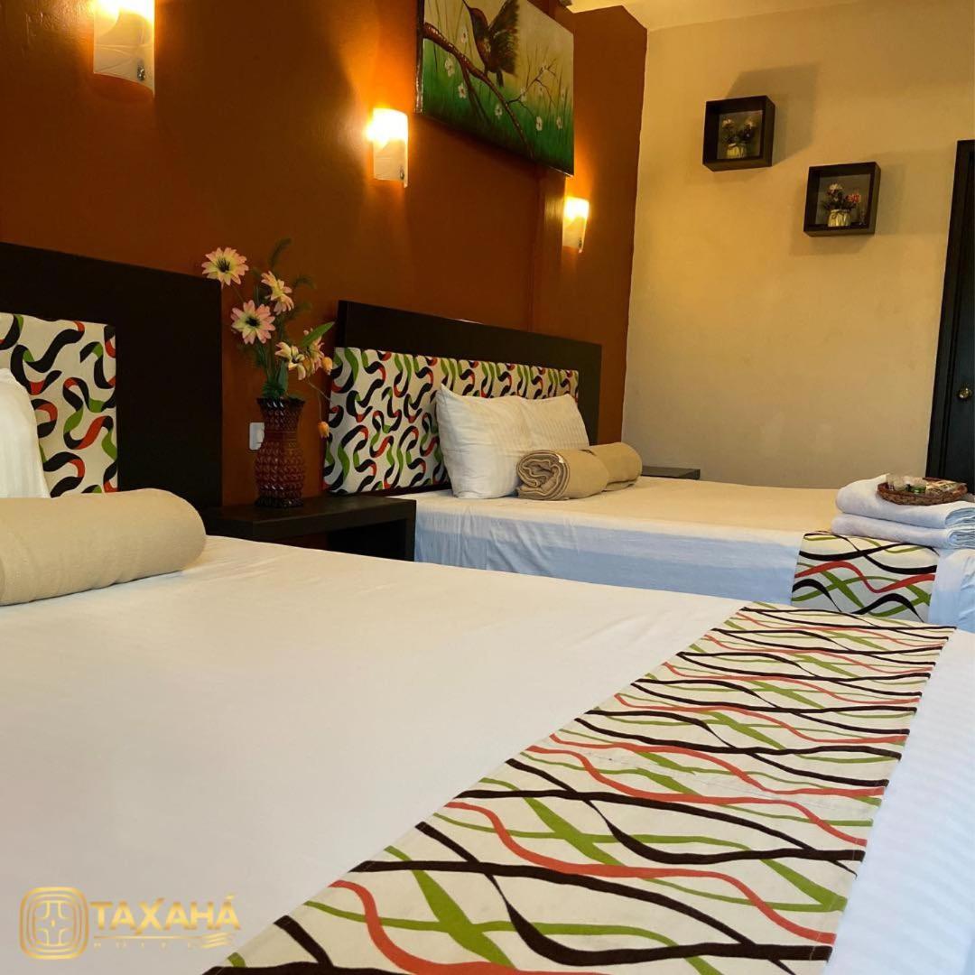Twin Room photo 2