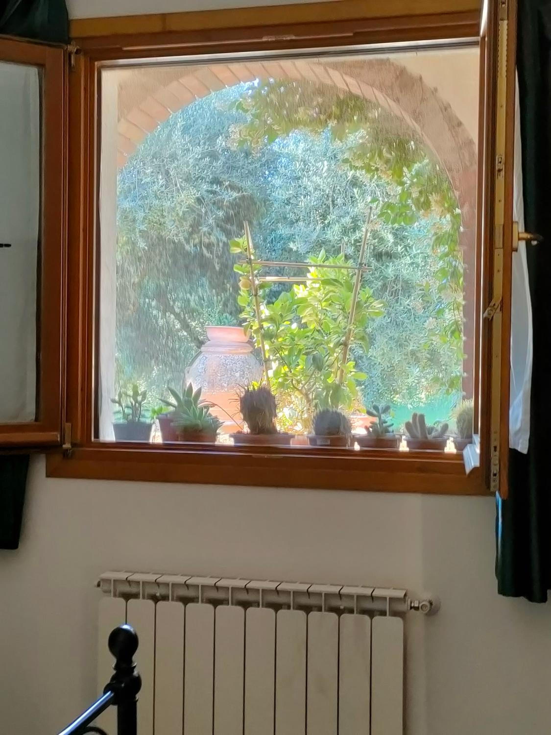 Double Room with Garden View photo 3