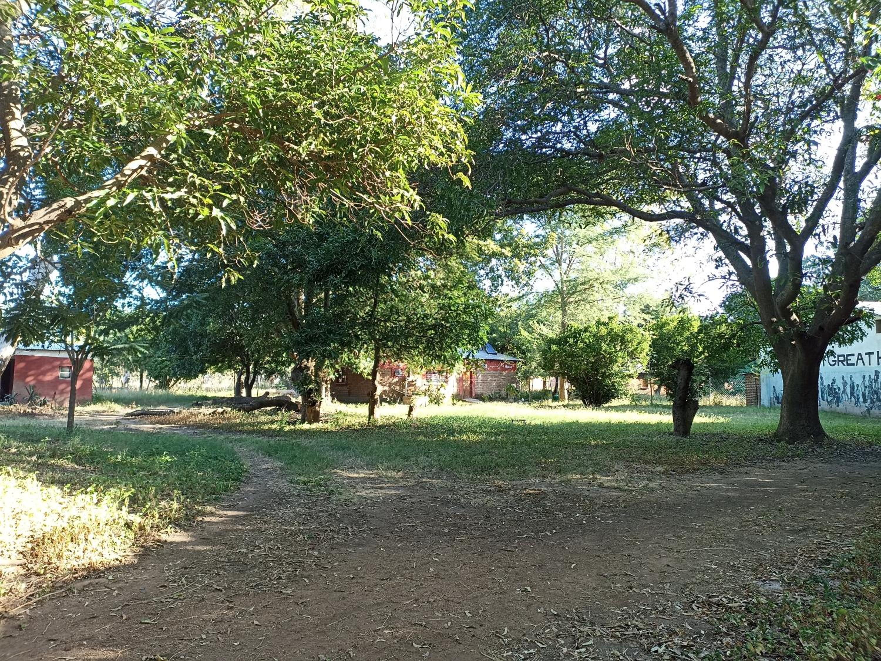 Empty Lot photo 2
