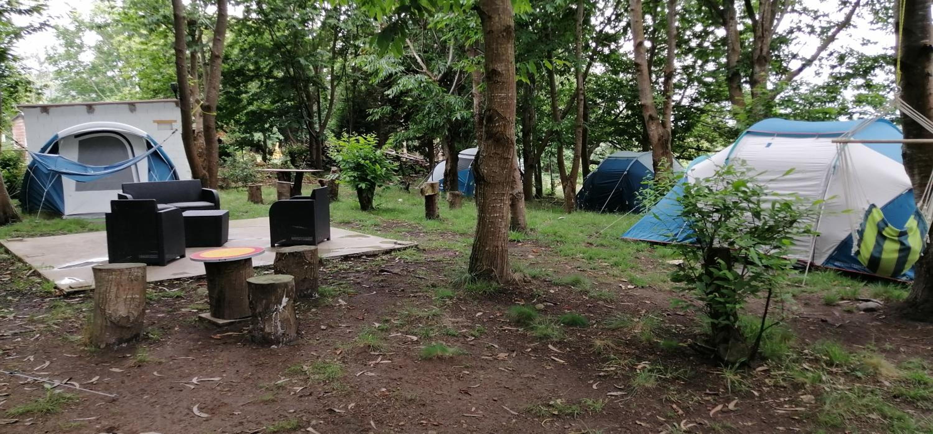 Two-Bedroom Tent - Photo 25