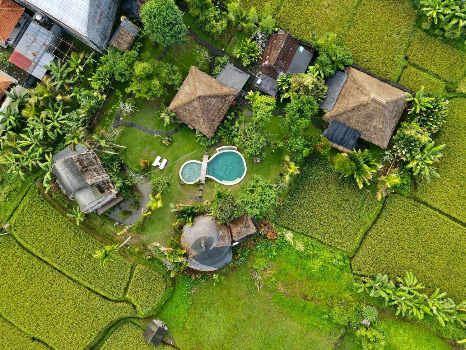 Deluxe Bungalow - Photo 7