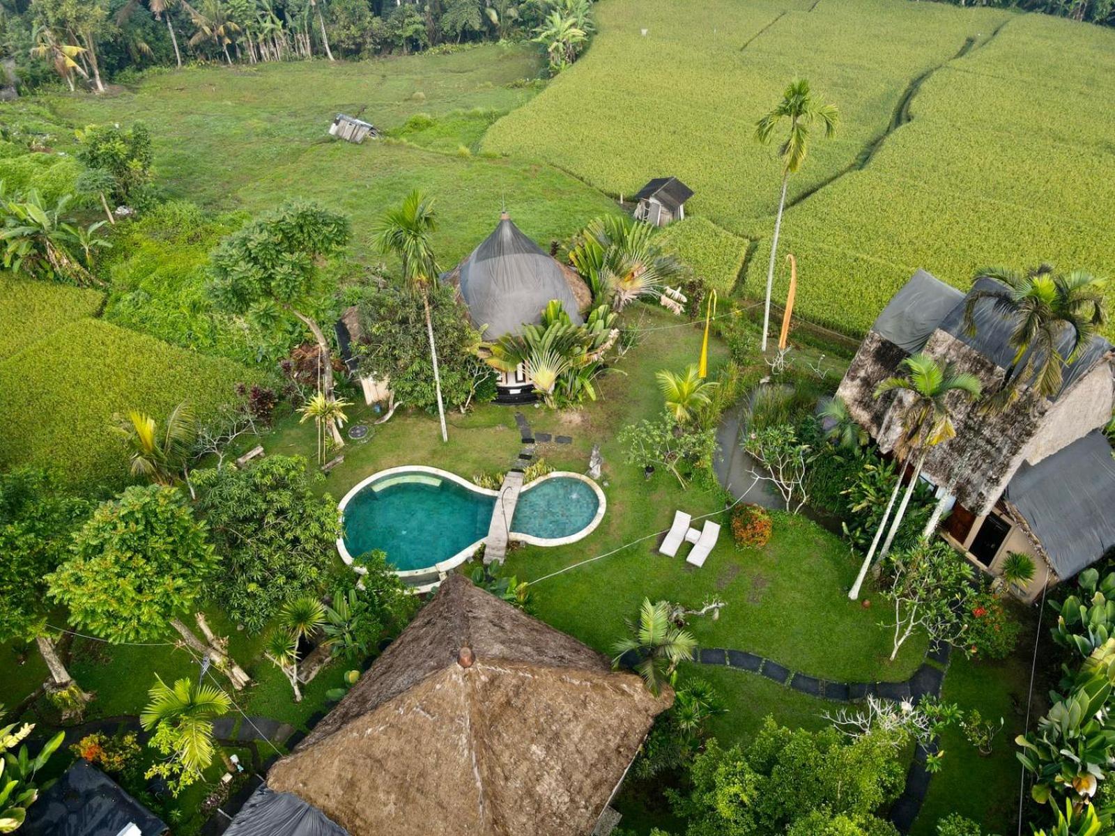 Deluxe Bungalow - Photo 6