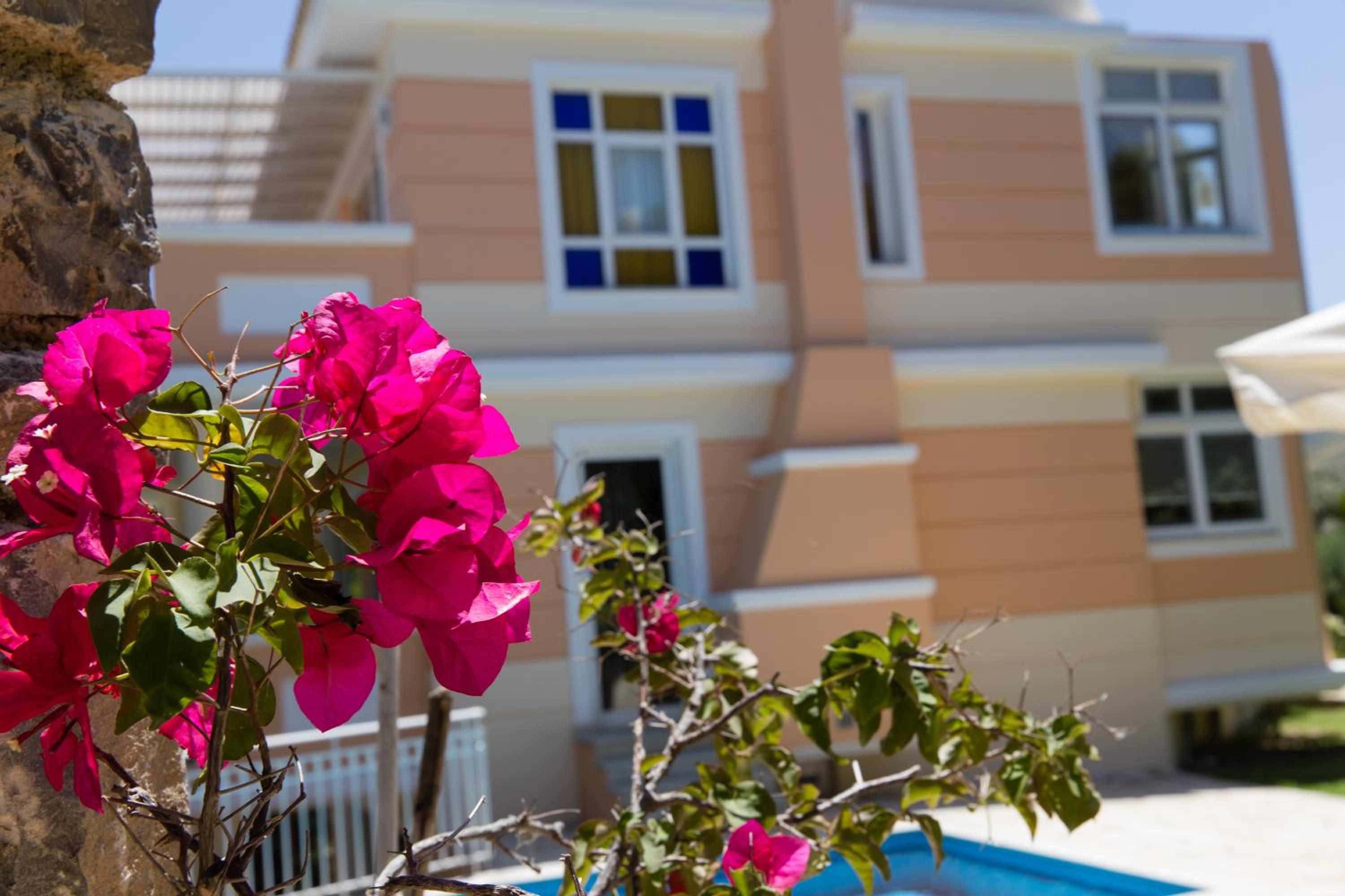 Villa photo 2