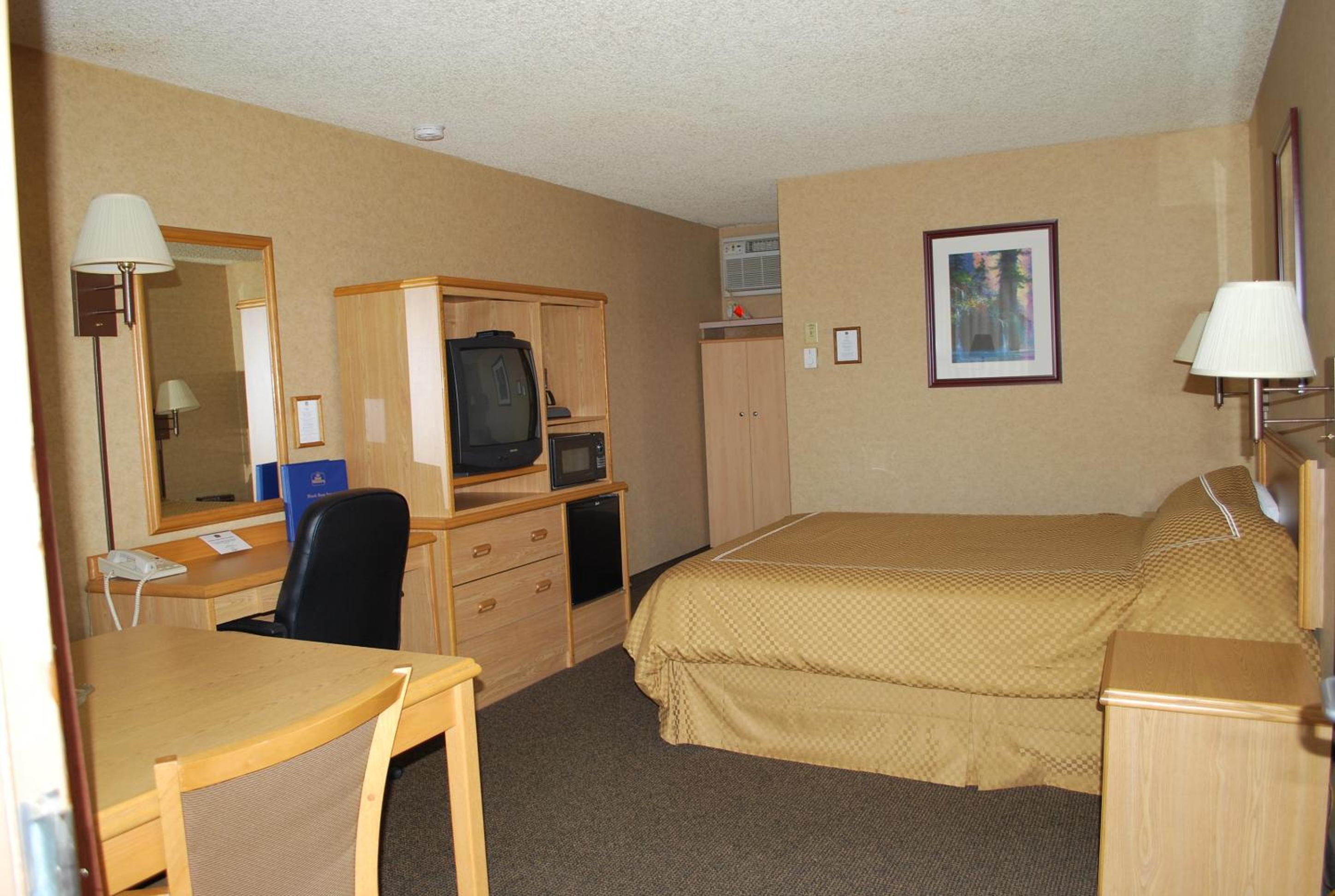 King Room - Pet Friendly/Non-Smoking - Photo 5